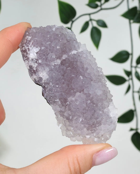 Lavender Quartz No. 18LV