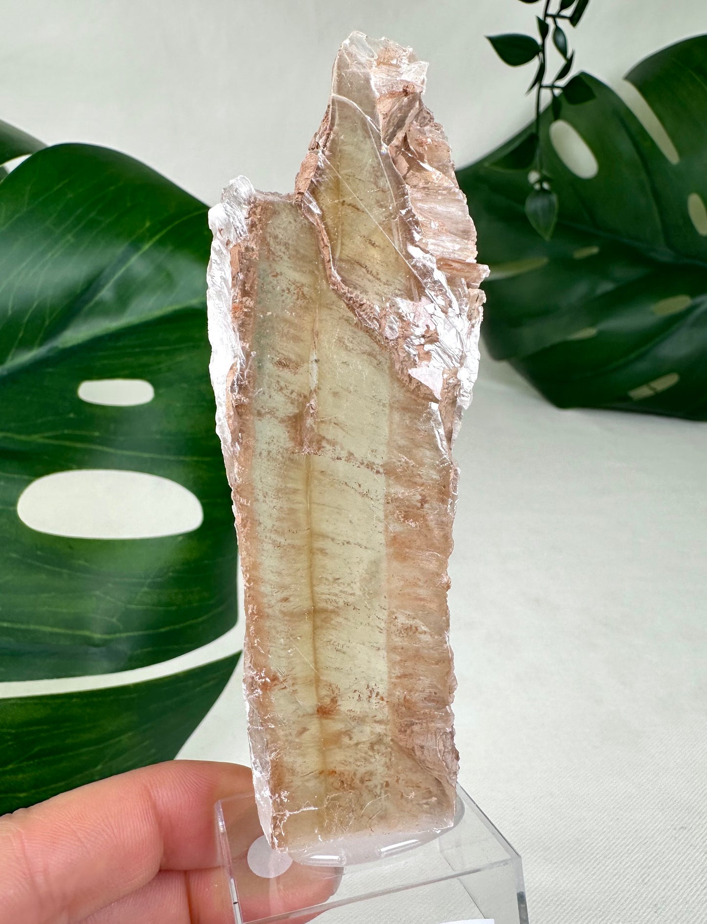 Bicolor Selenite No. 37BS