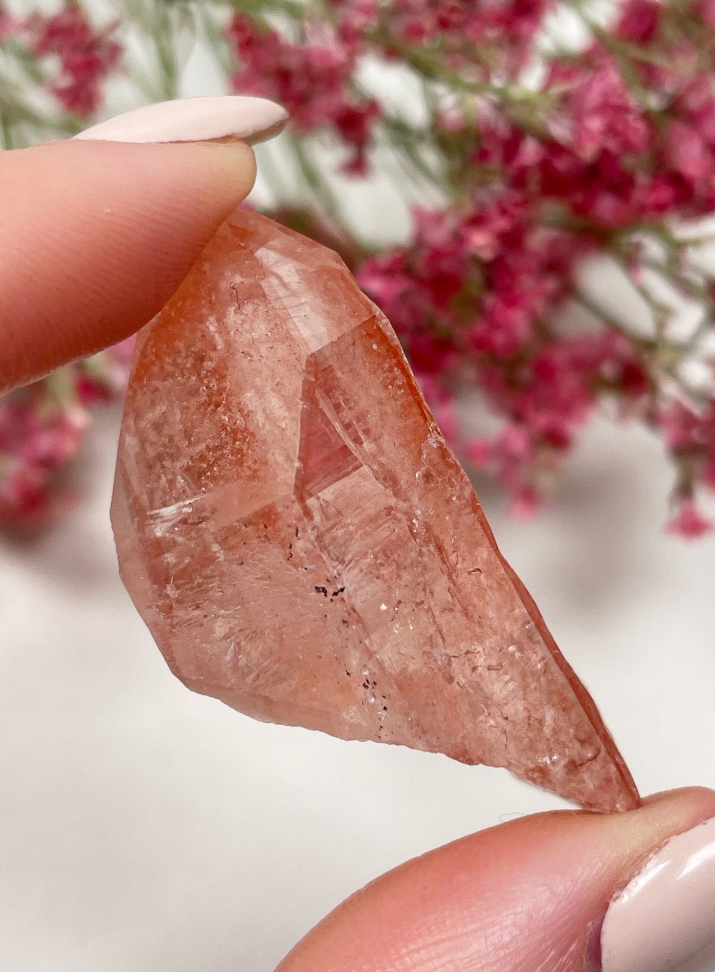 Pinke Lemurian Spitze Nr. 35LH