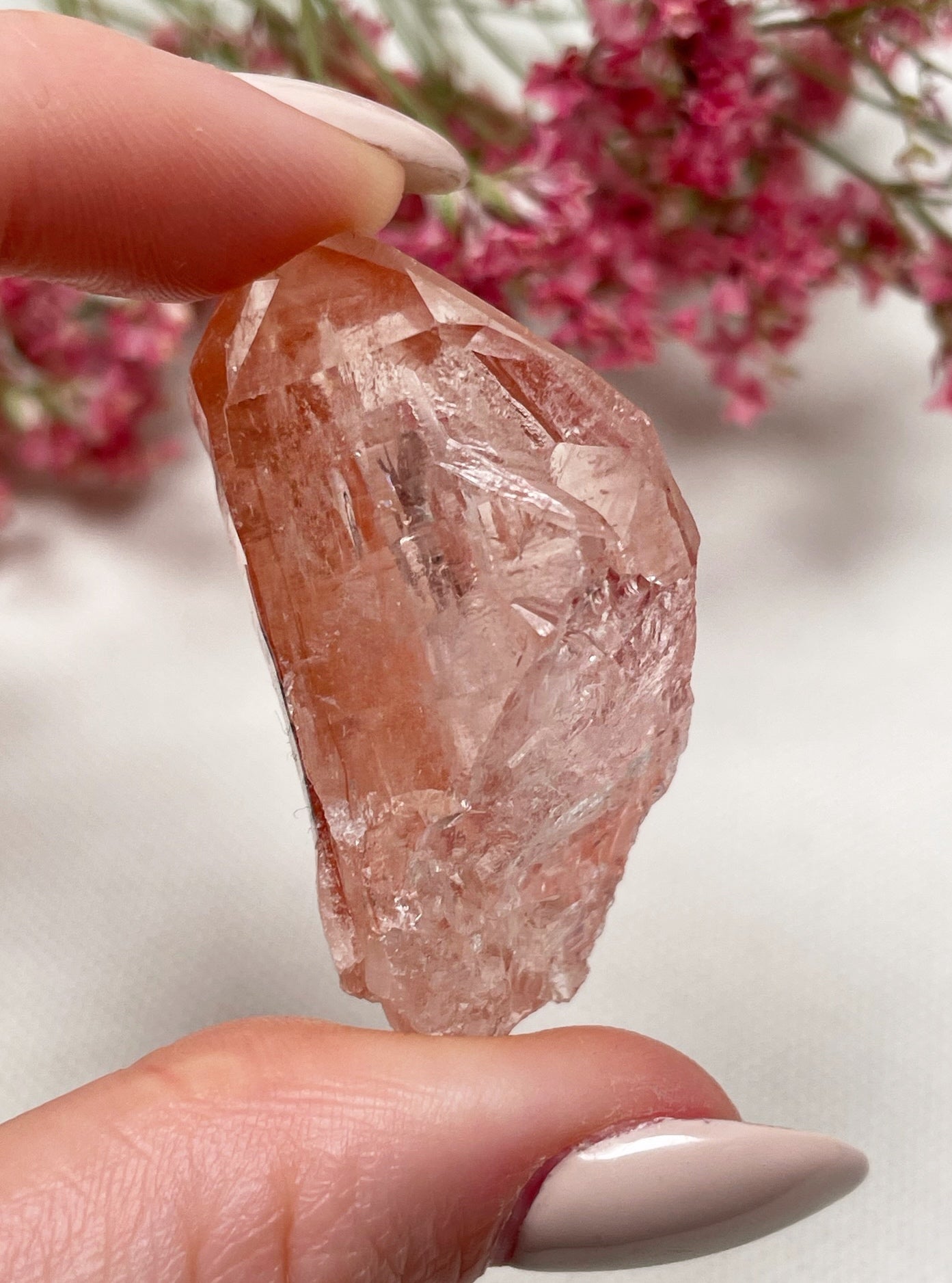 Pinke Lemurian Spitze Nr. 35LH