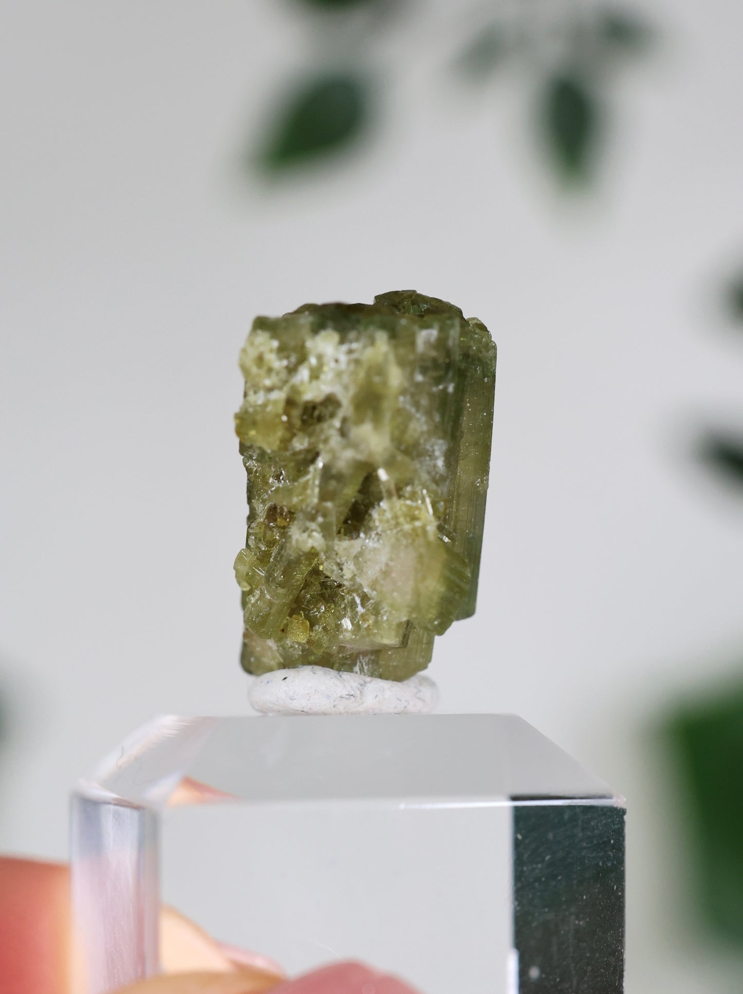 Grüner Turmalin S - Auswahl