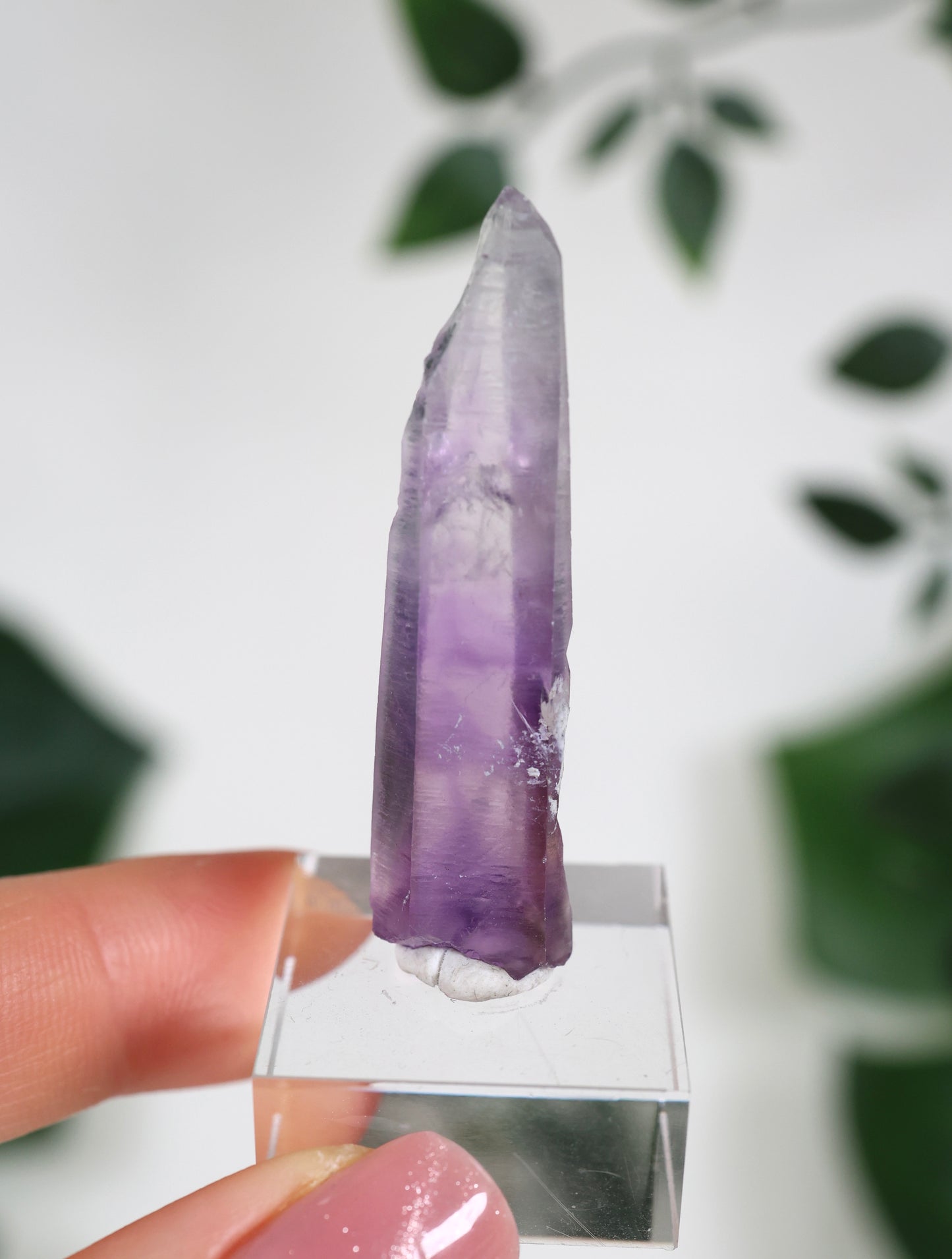 Guerrero Amethyst Oldstock XS - Auswahl