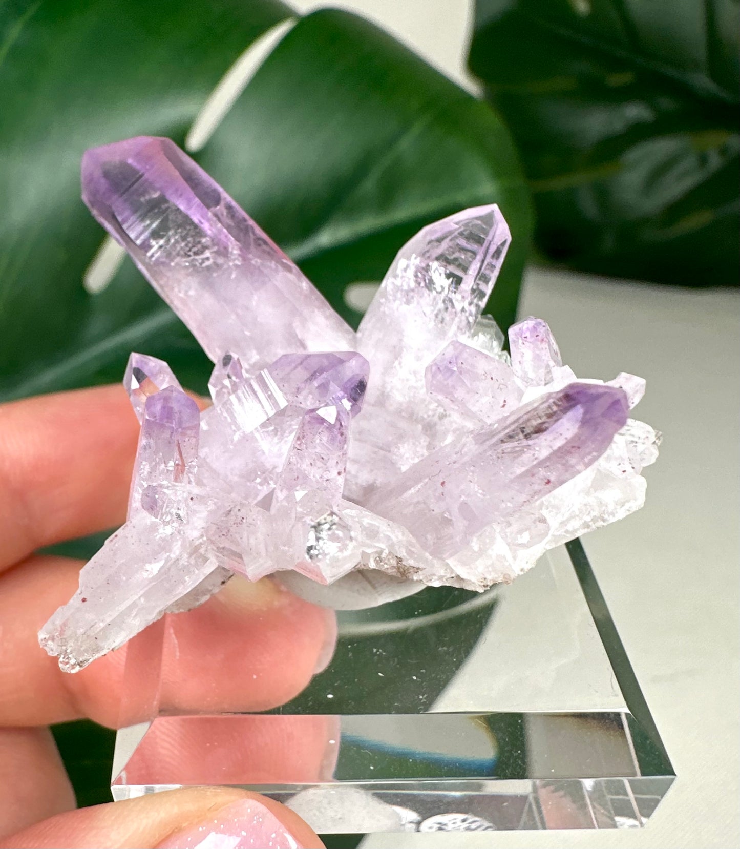 Vera Cruz Amethyst Nr. 149VC