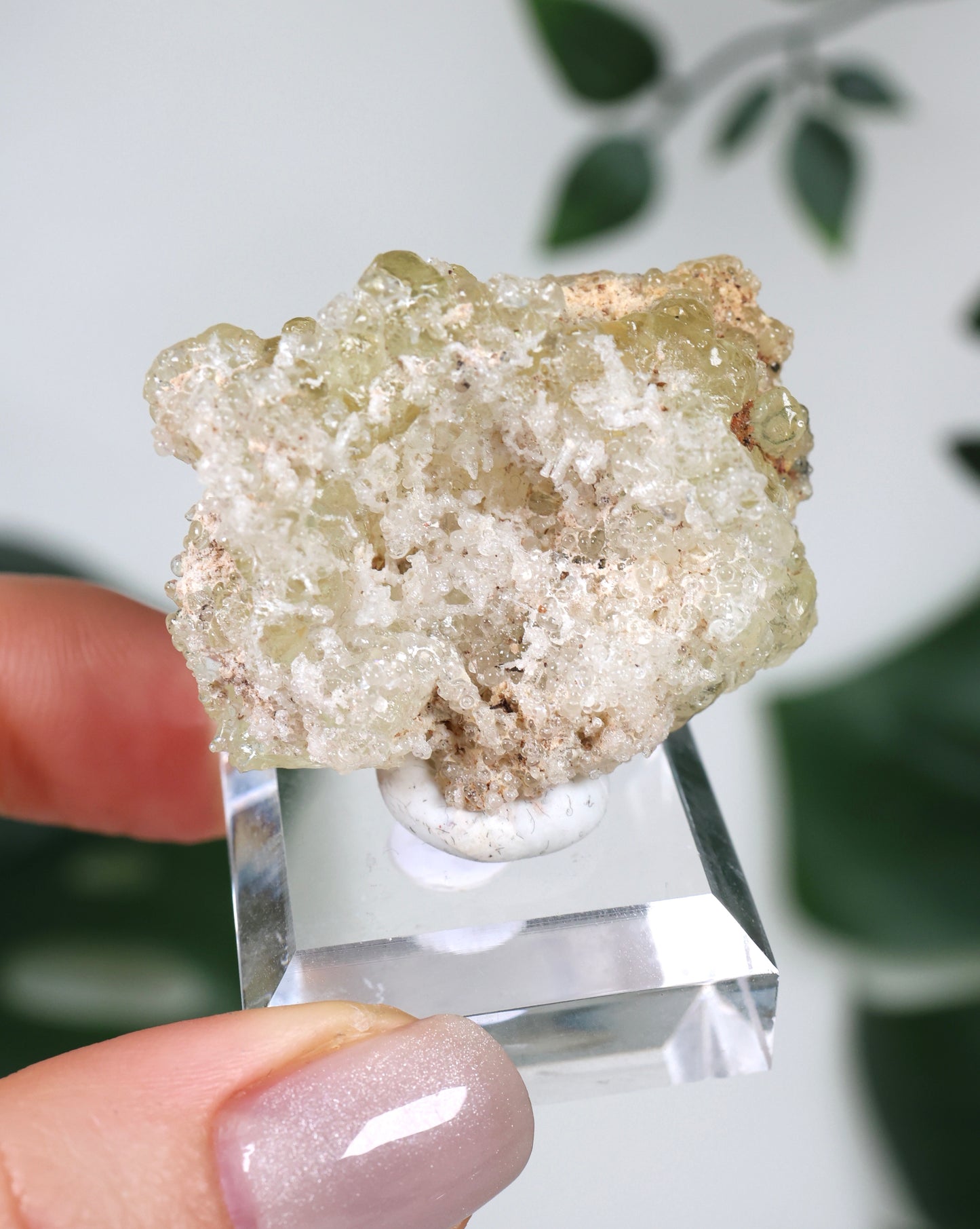 Hyalit Opal Nr.70HO