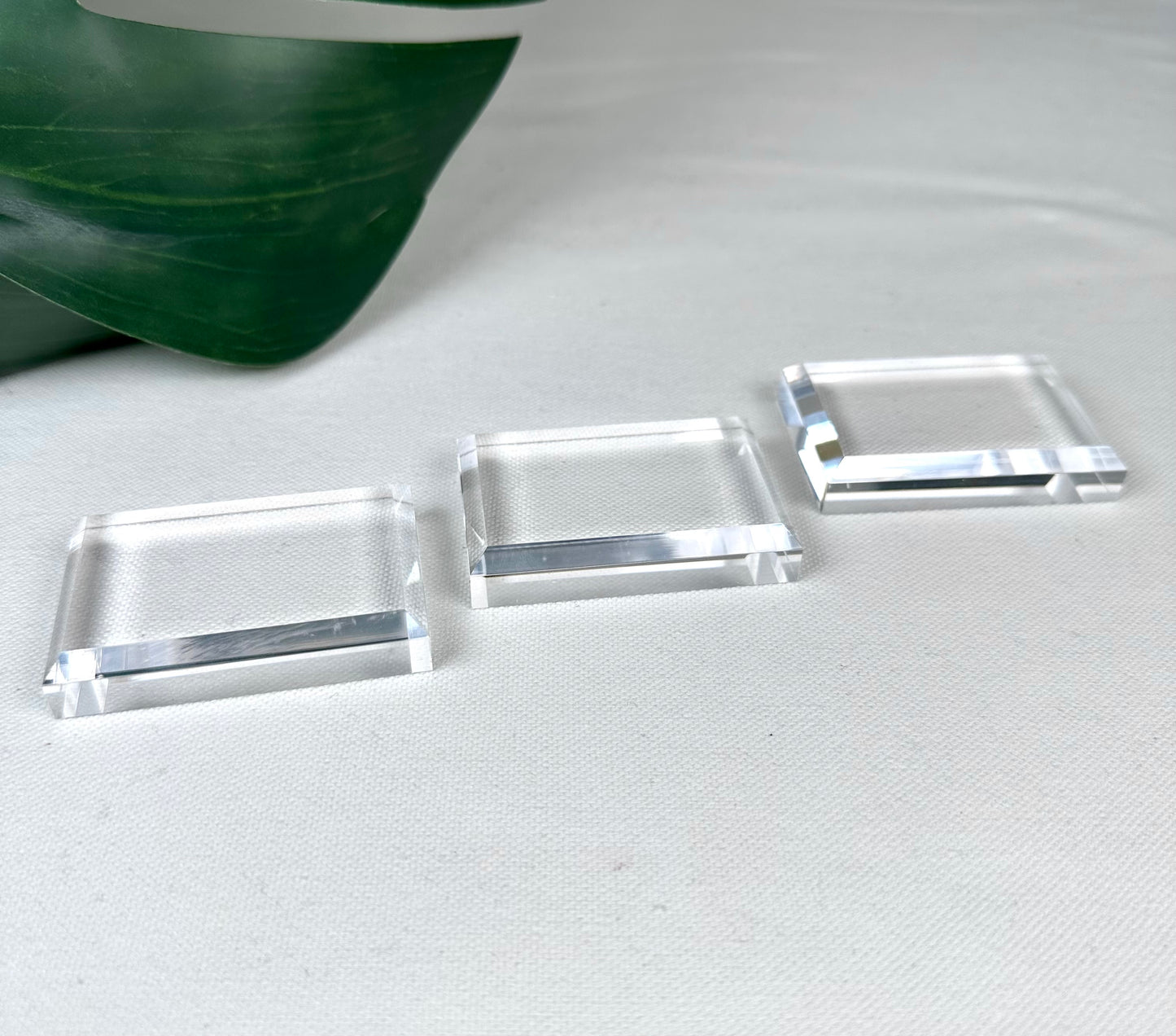 Acryl Platte für Specimen L 6x4 cm