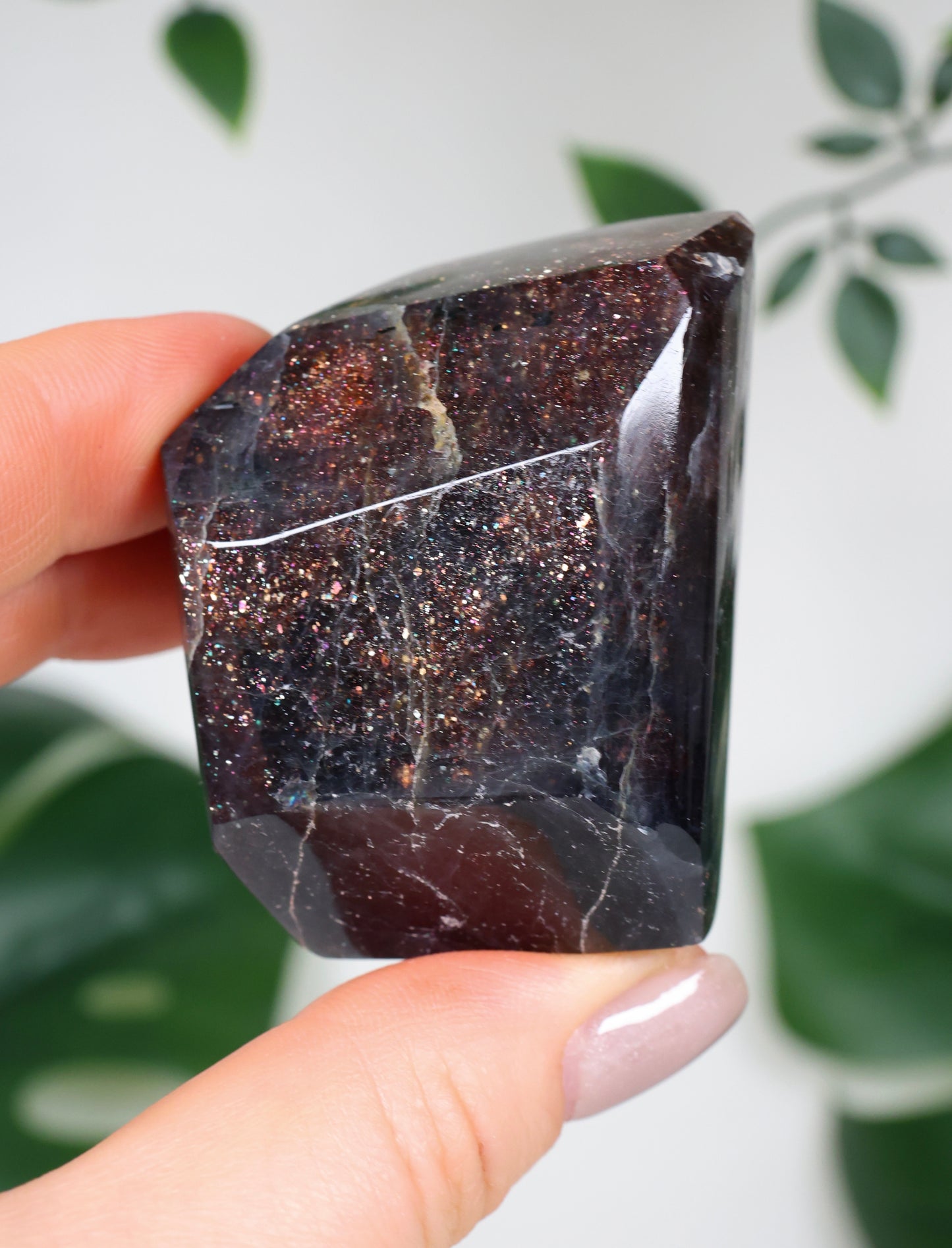 Iolith x Sonnenstein Nr.228IF