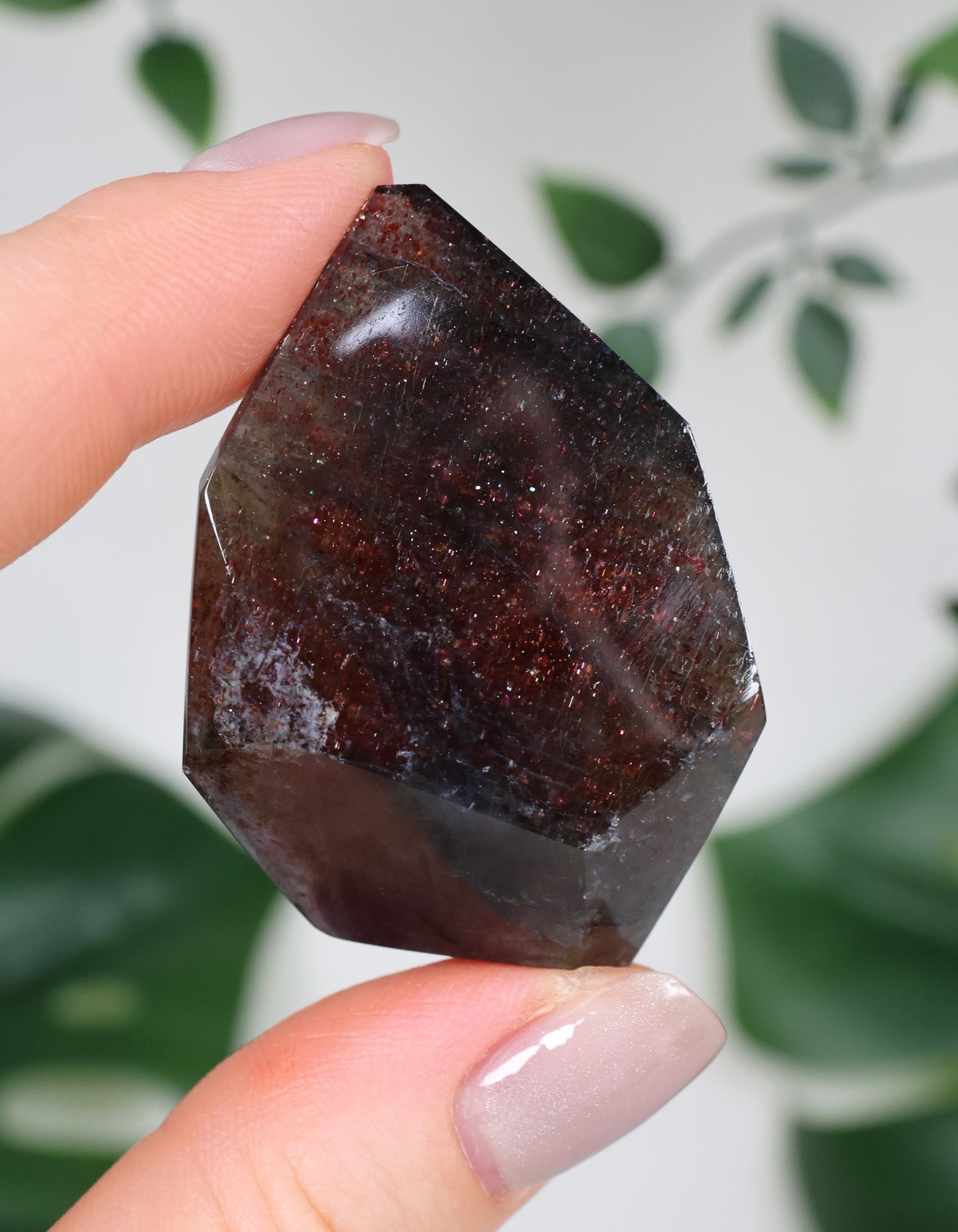 Iolith x Sonnenstein Nr.73IF