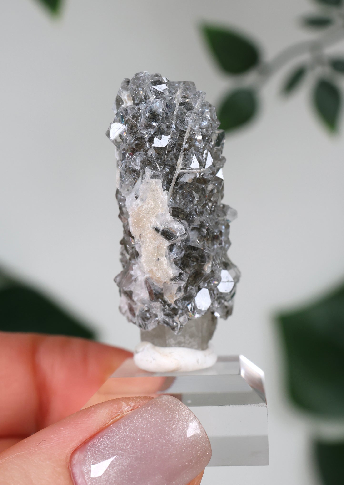 Apophyllit x Quarz x Chlorit Nr.57QA