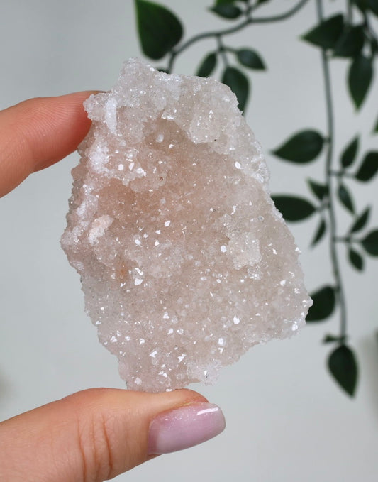 Pink Apophyllit Crust HQ Nr.49PA