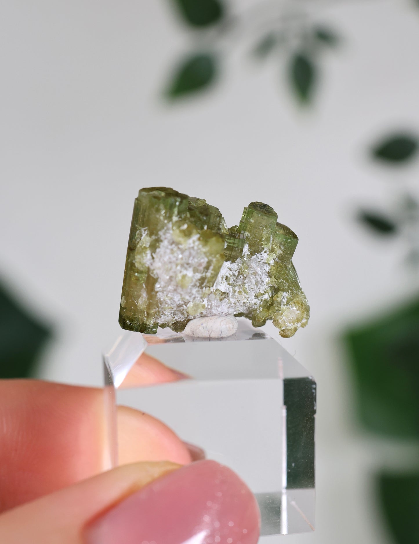 Grüner Turmalin Nr.35GR