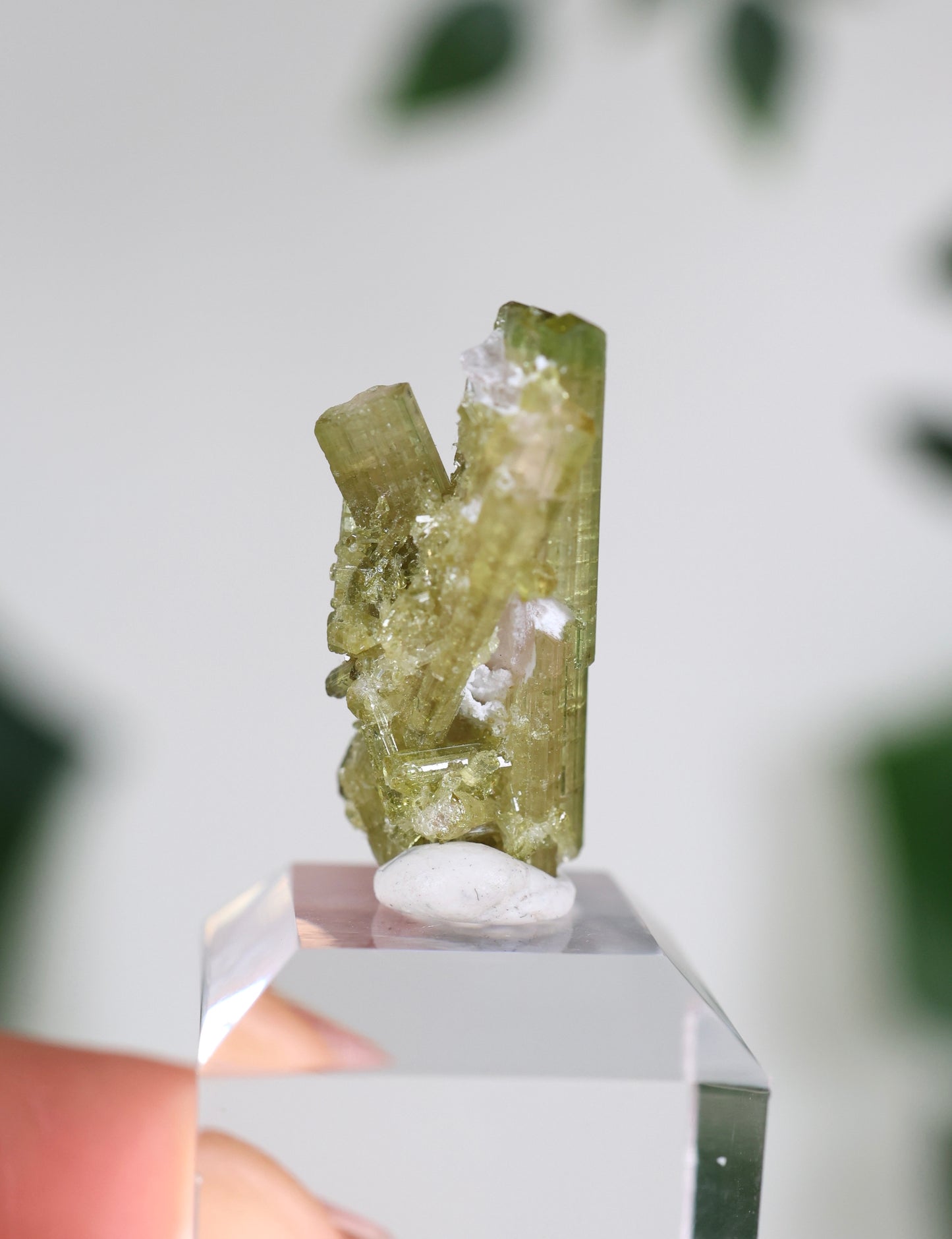 Grüner Turmalin S - Auswahl