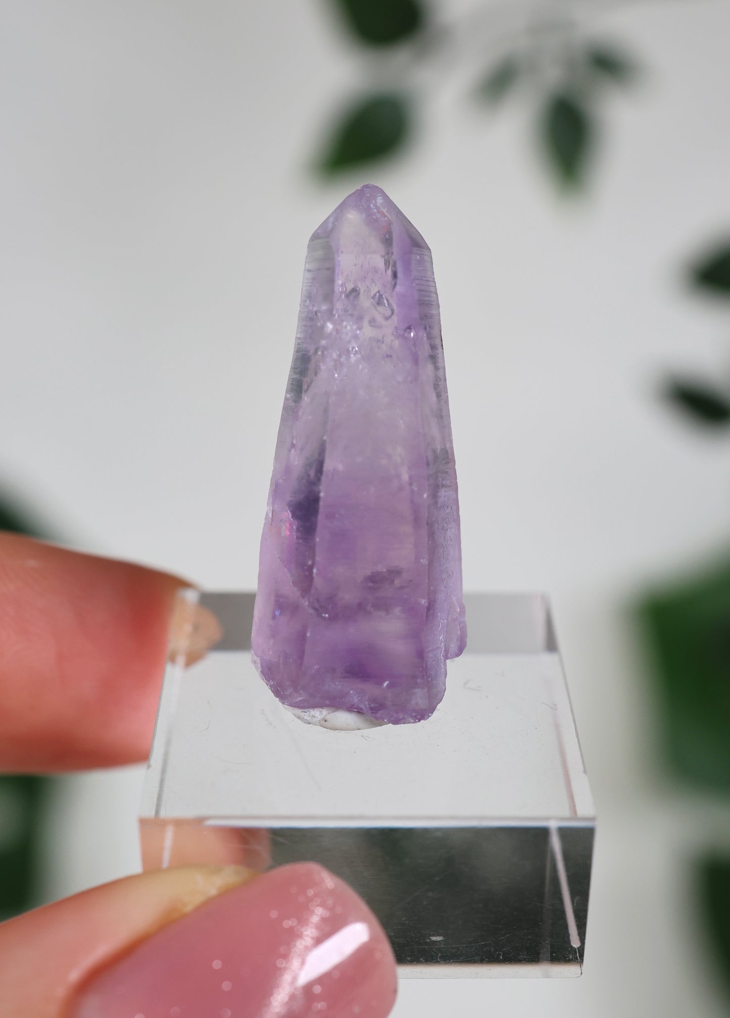 Guerrero Amethyst Oldstock XS - Auswahl