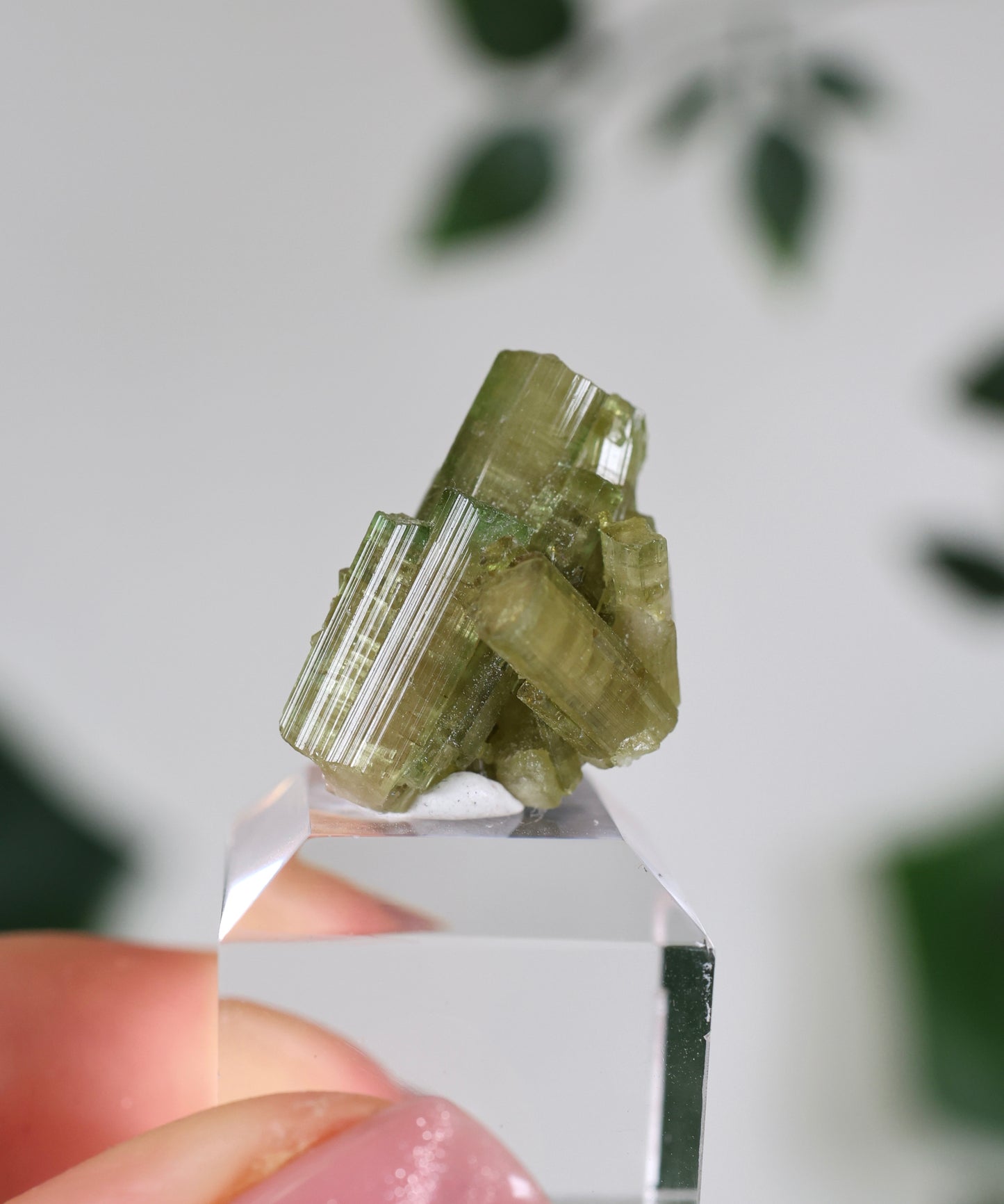 Grüner Turmalin Nr.33GT