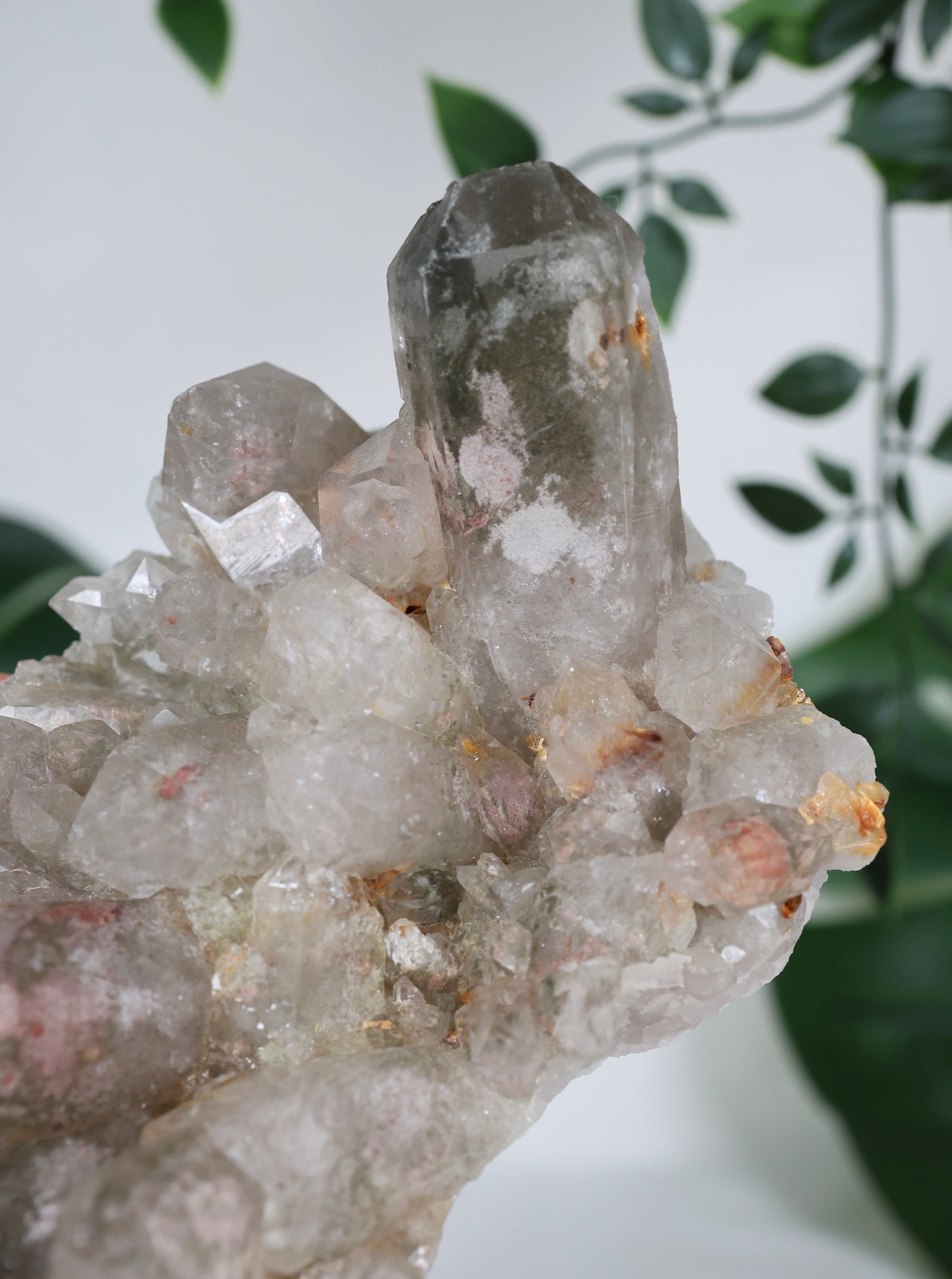 Gartenquarz x Rutil Cluster Nr.319GR