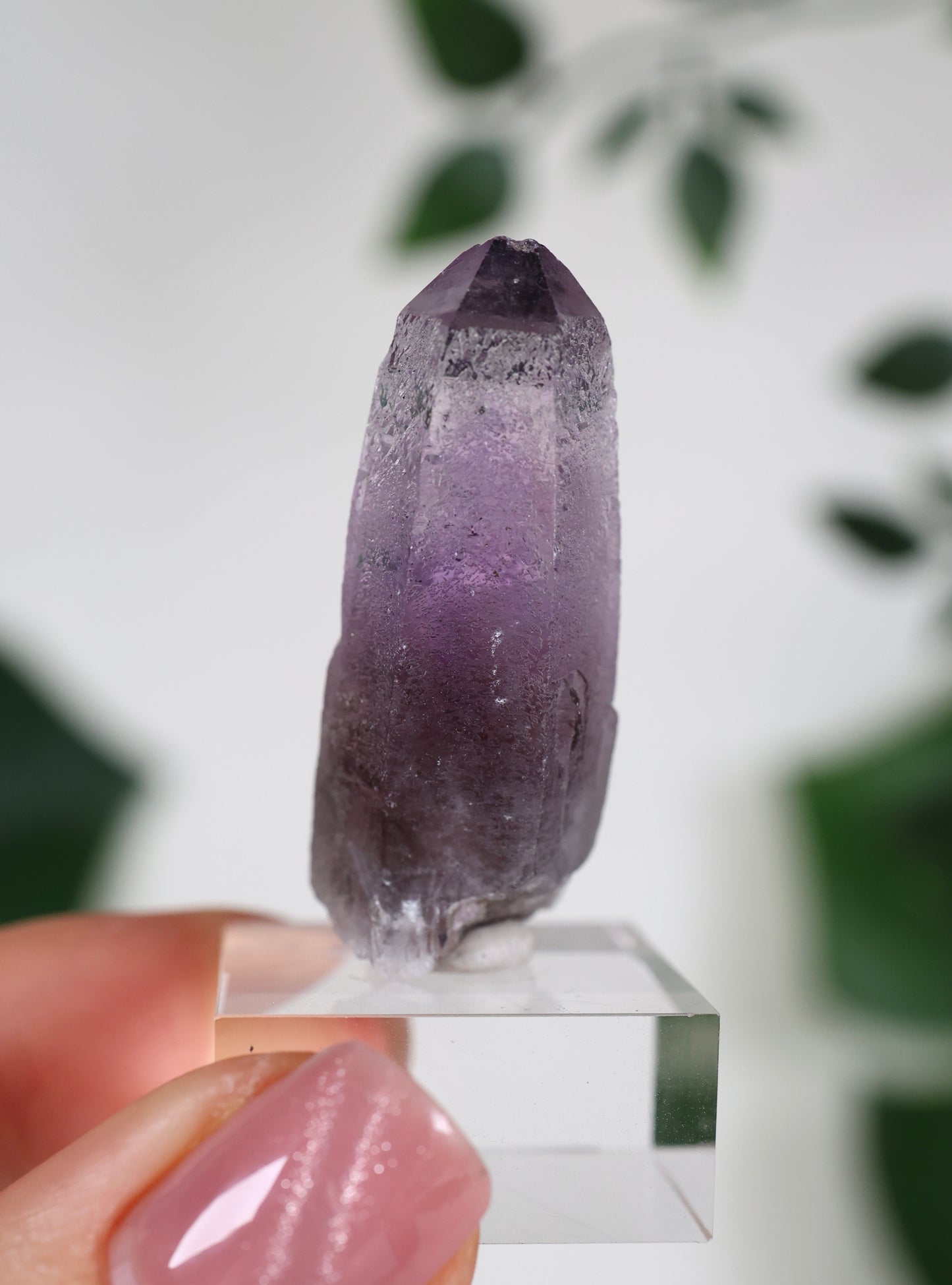 Guerrero Amethyst Oldstock XS - Auswahl