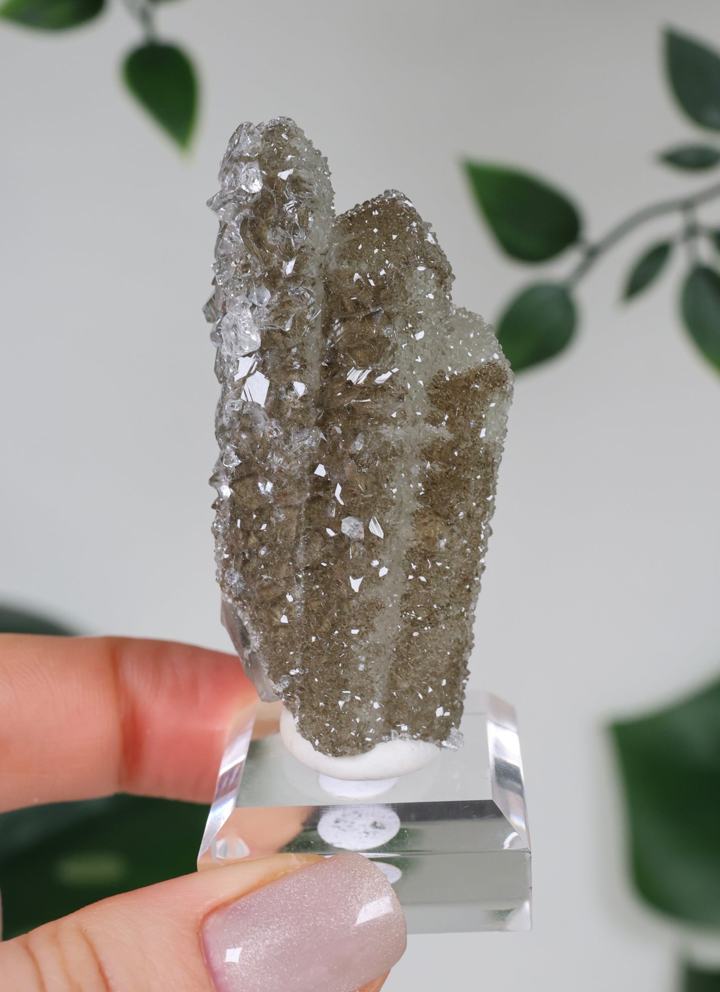 Apophyllit x Quarz x Chlorit Nr.119QA