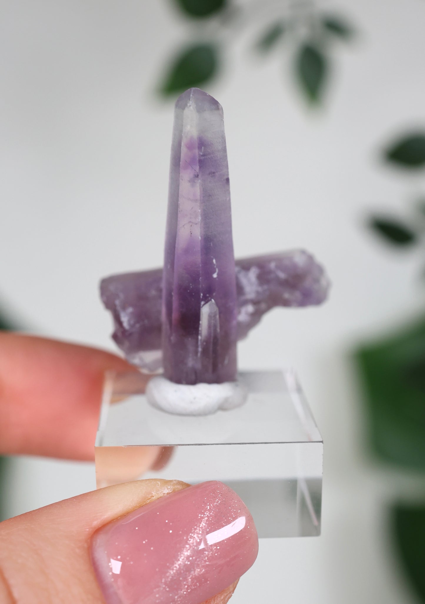 Guerrero Amethyst Oldstock XS - Auswahl