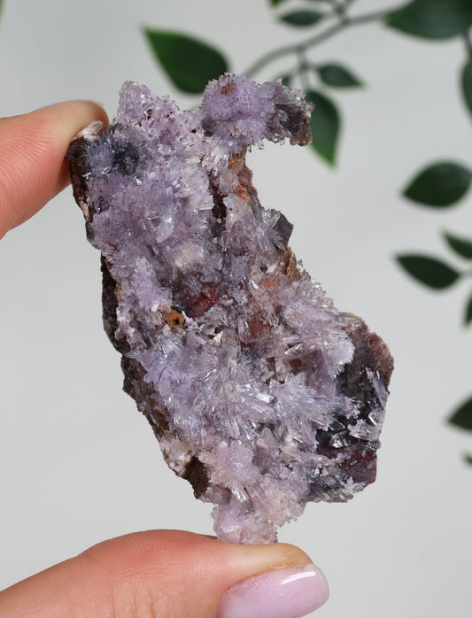 Lilaner Creedite Nr.104LC