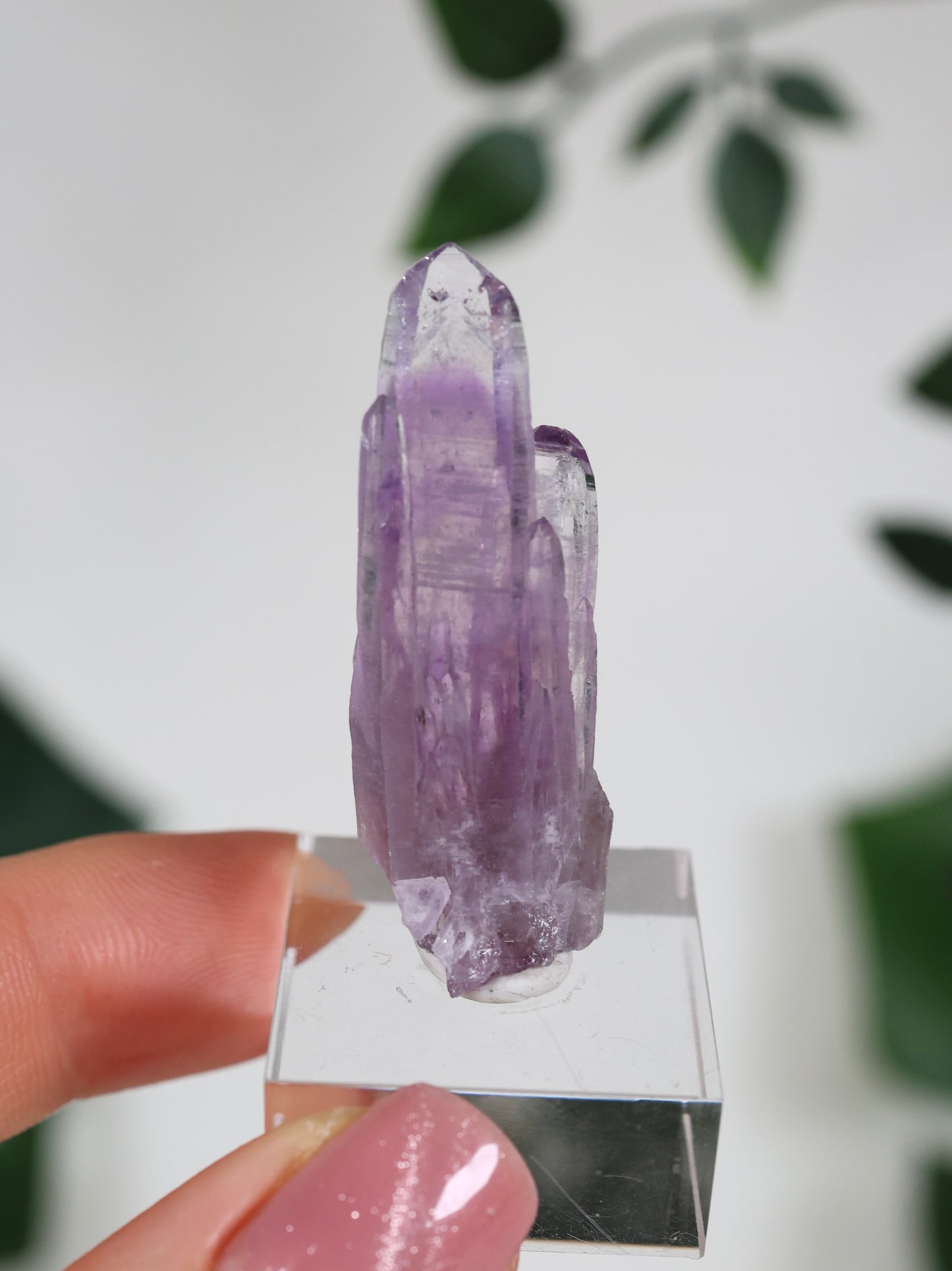 Guerrero Amethyst Nr.30G2
