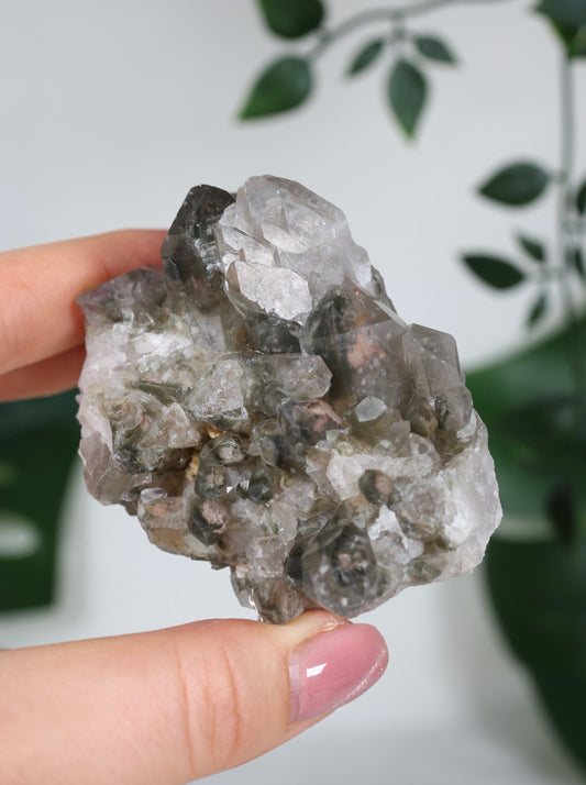 Gartenquarz Cluster Nr.65GQ