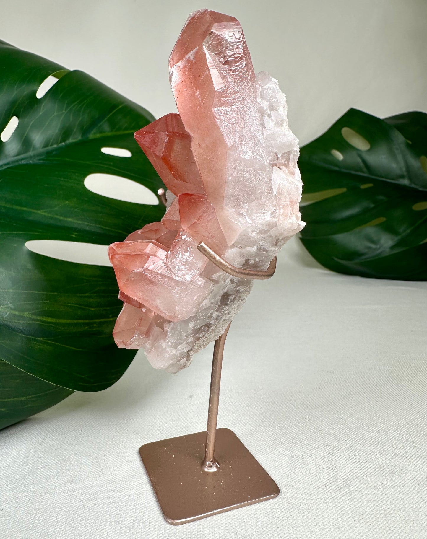 Pink Scarlet Lemurian Nr.242PL