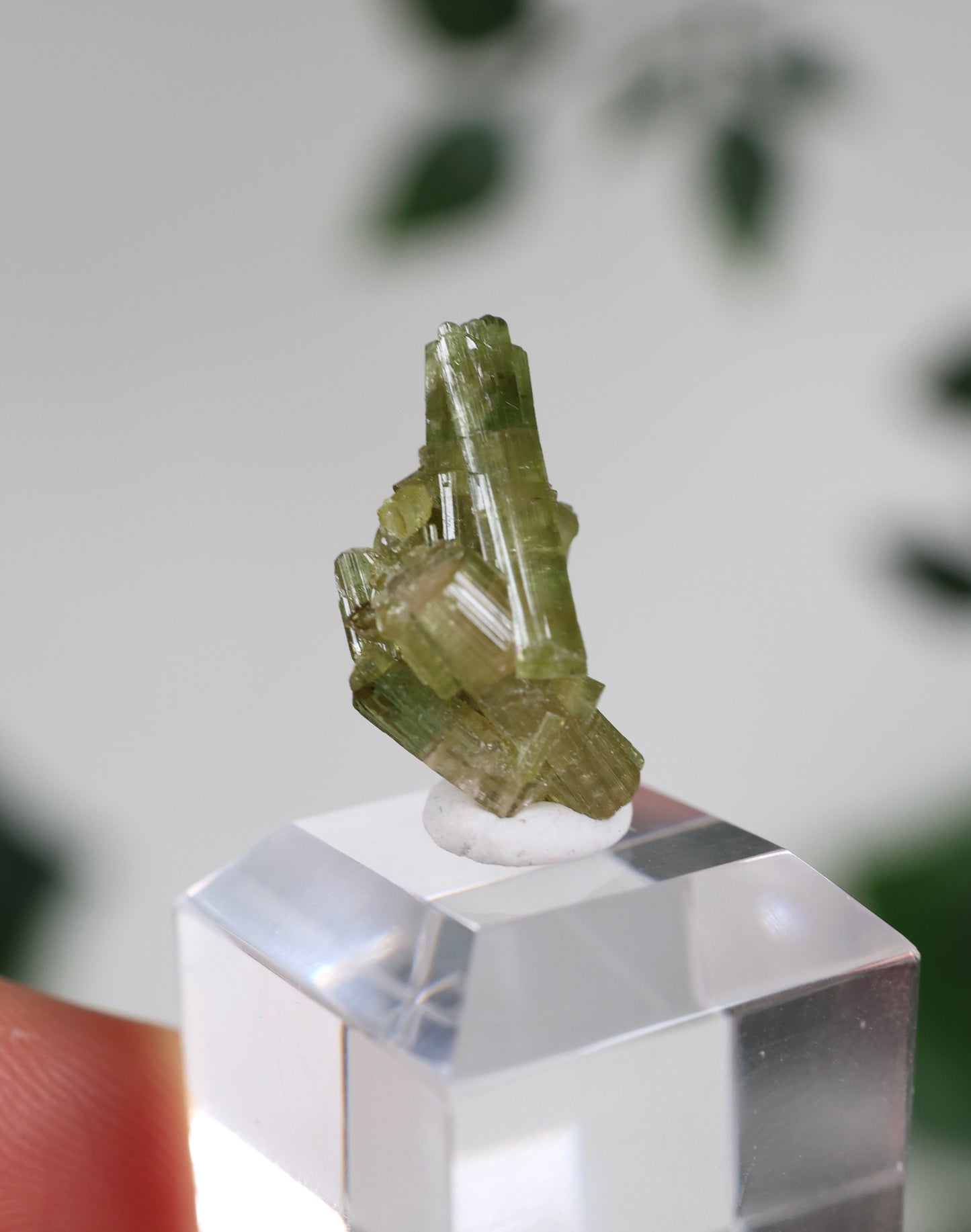 Grüner Turmalin XS - Auswahl