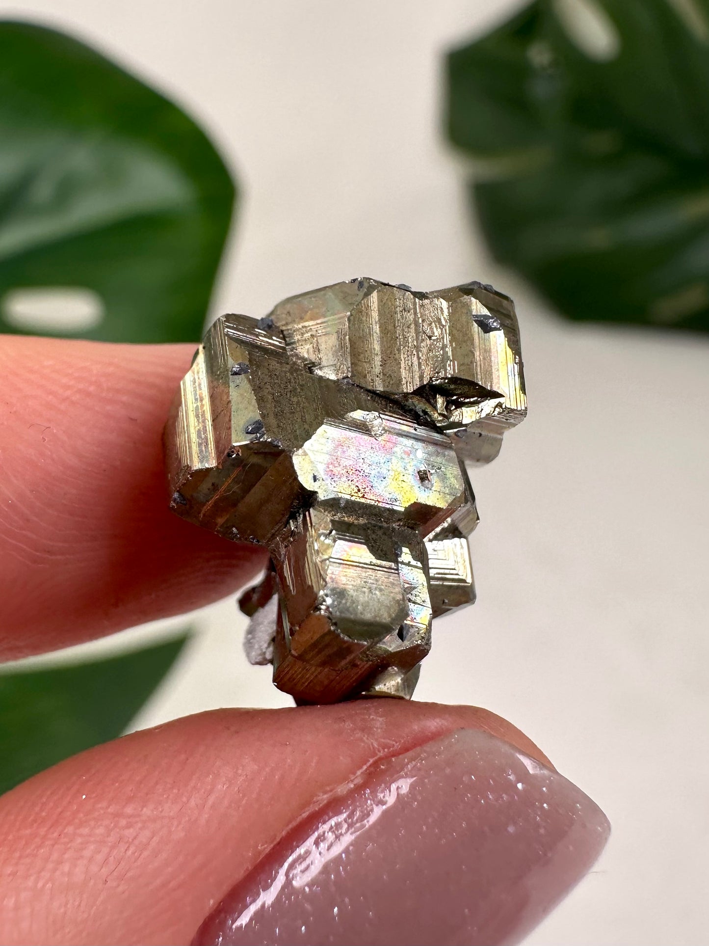 Iridescent Pyrite No. 10P5
