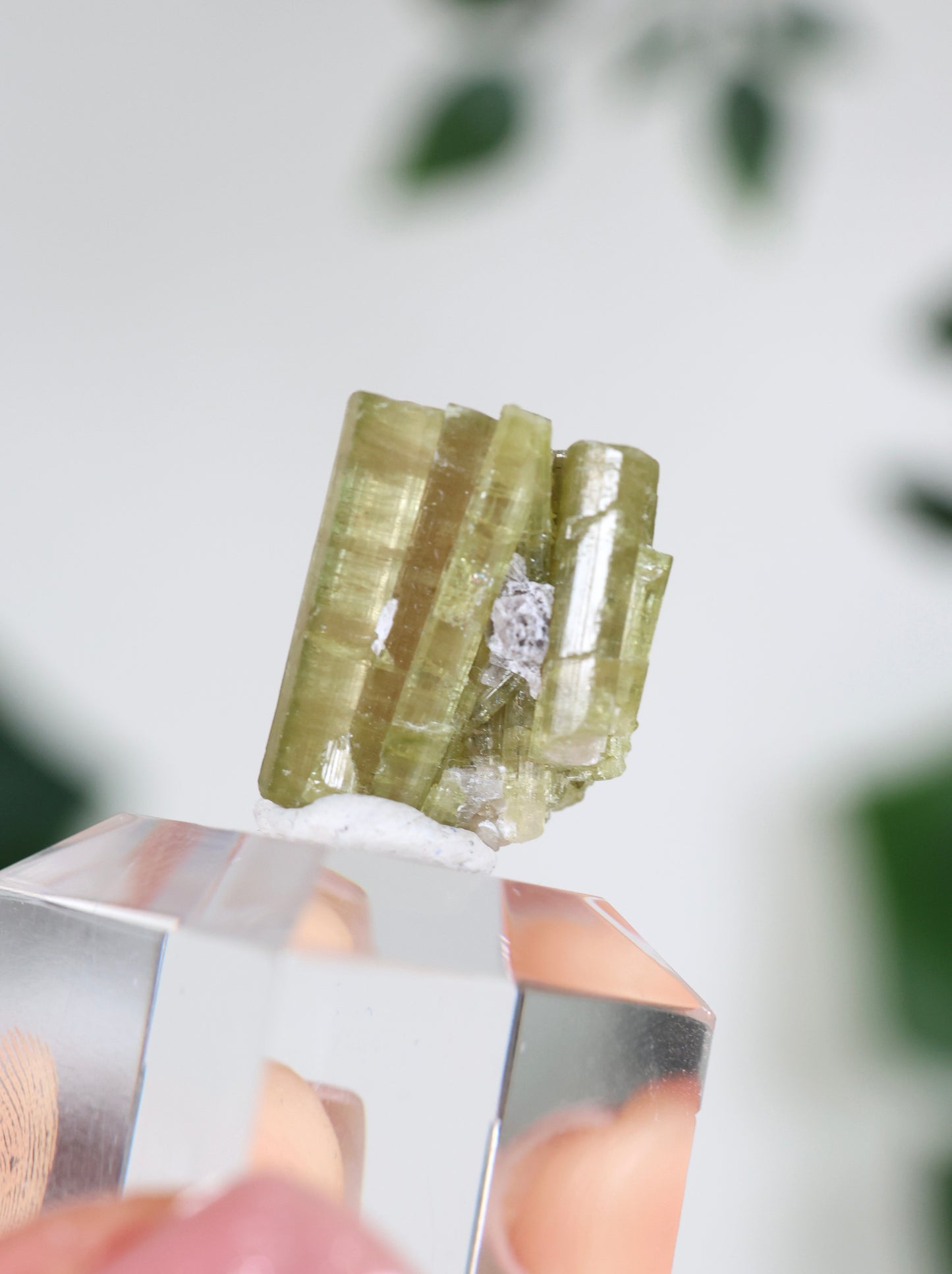 Grüner Turmalin XS - Auswahl