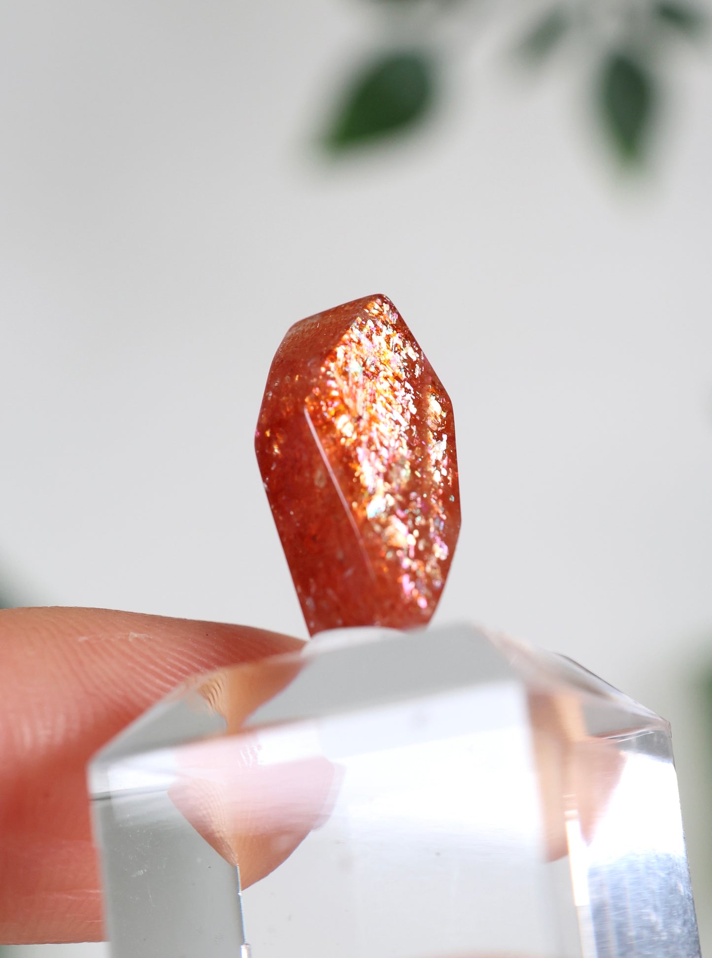 Sonnenstein in Quarz Nr.23SQ