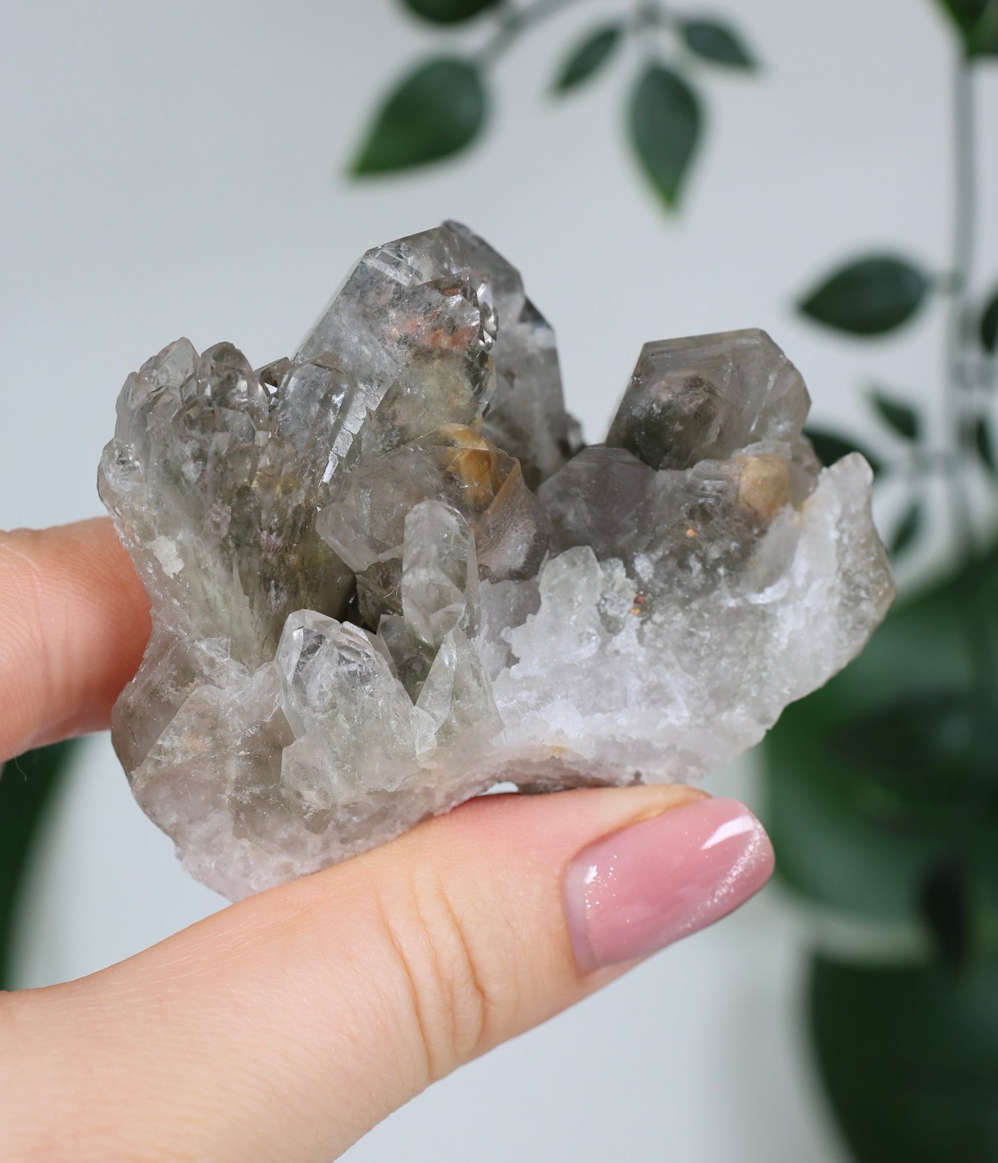 Gartenquarz x Rutil Cluster Nr.60GQ