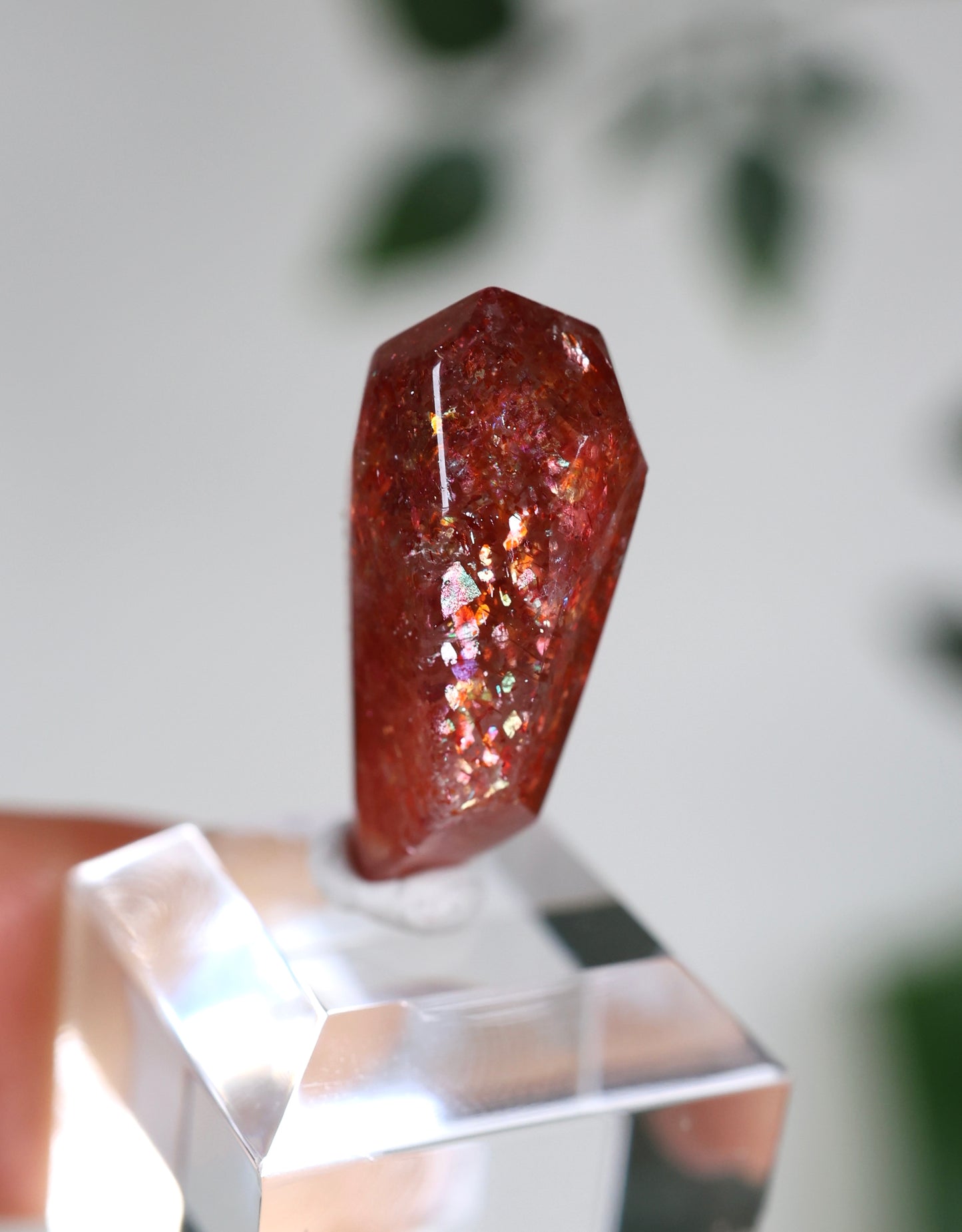 Sonnenstein in Quarz Nr.34SQ