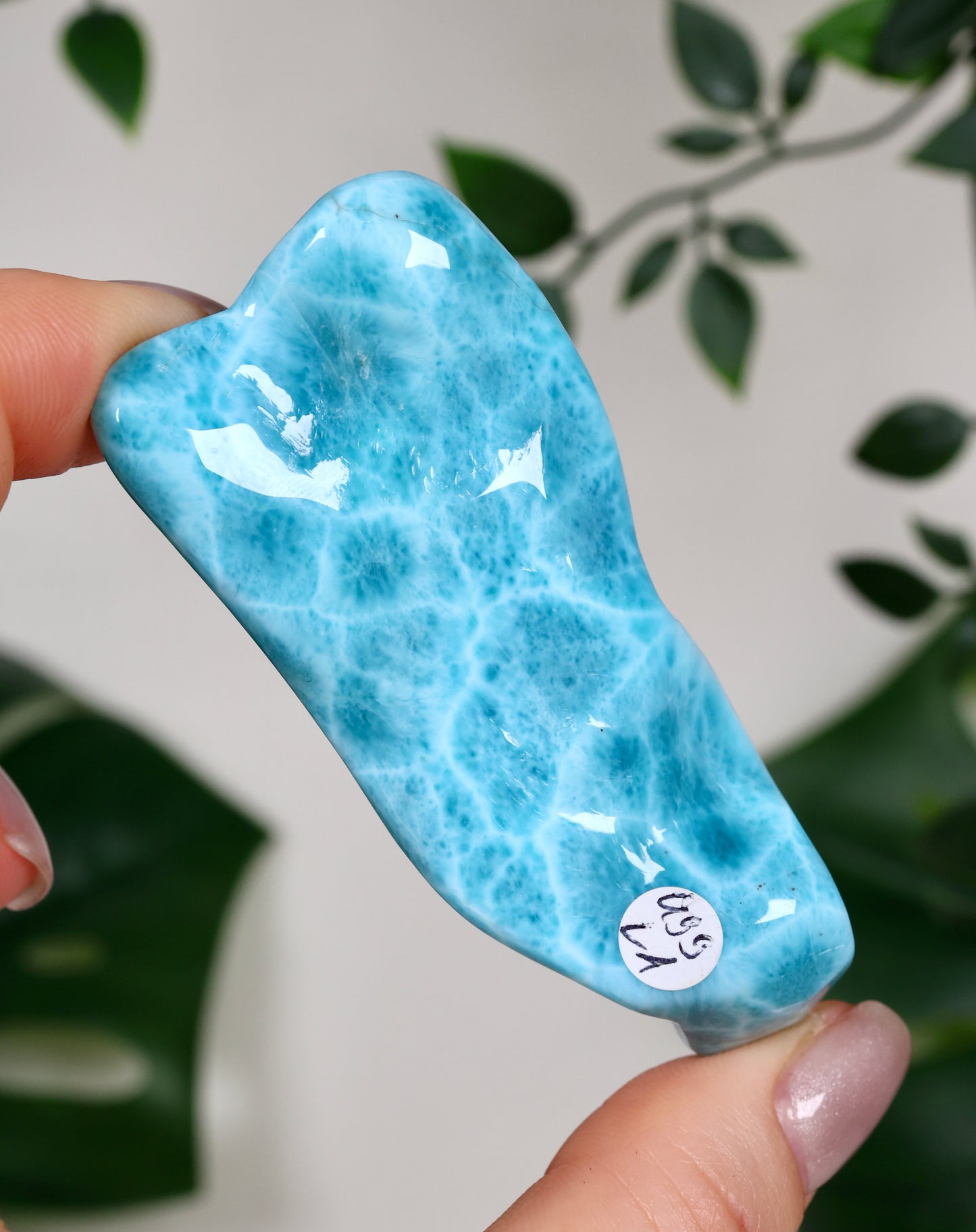 Larimar HQ Nr.499LA
