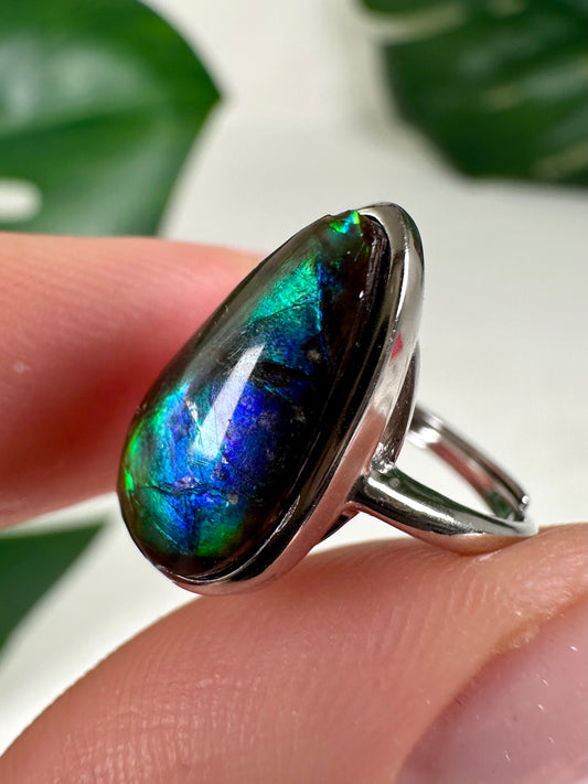Ammolit Ring in 925 Silber Nr.110A1