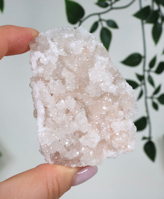 Pink Apophyllit Crust HQ Nr.60PA