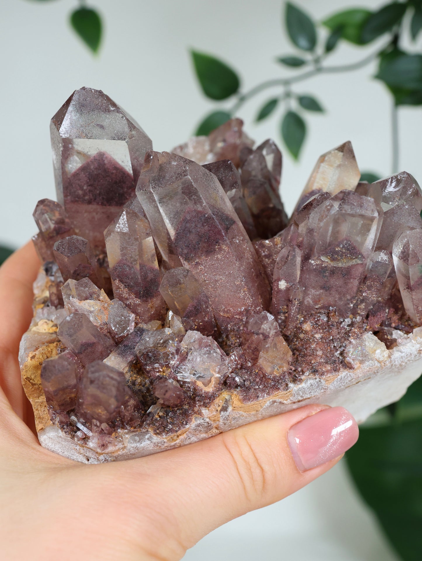 Sunset Quarz Nr.298SQ