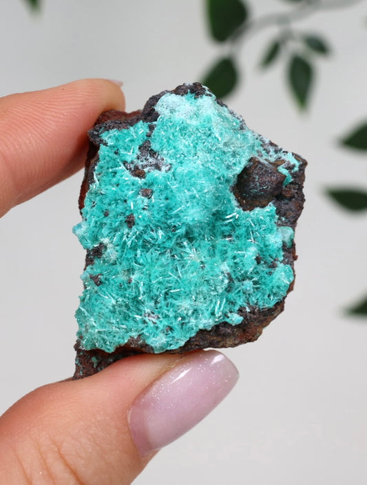 Aurichalcite Nr.38AU