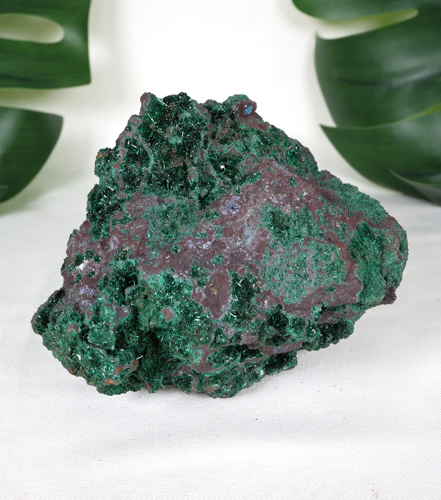 Brochantit x Bornit Nr.295BC