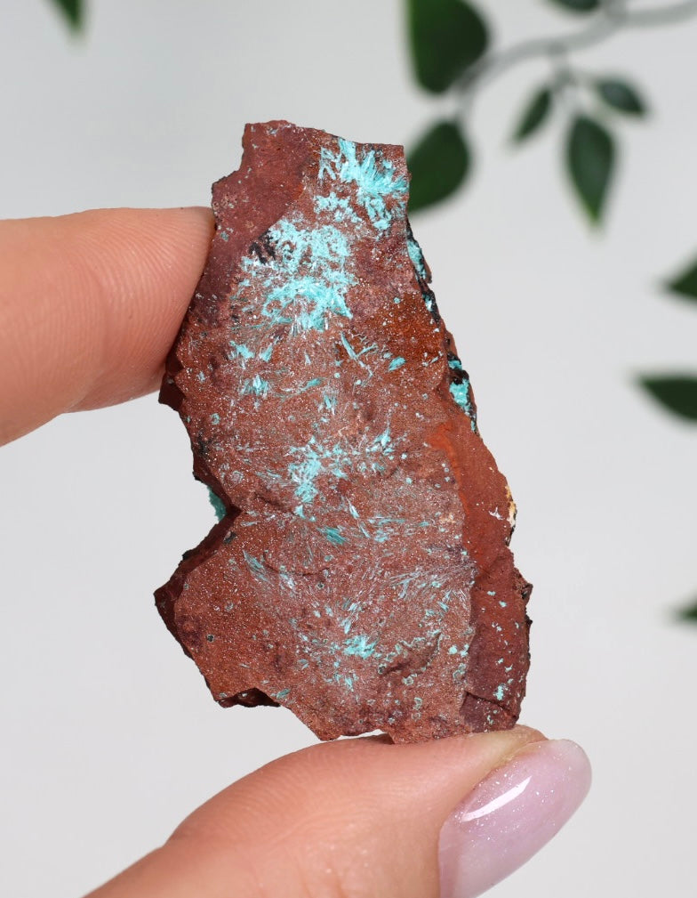Aurichalcite Nr.31AU