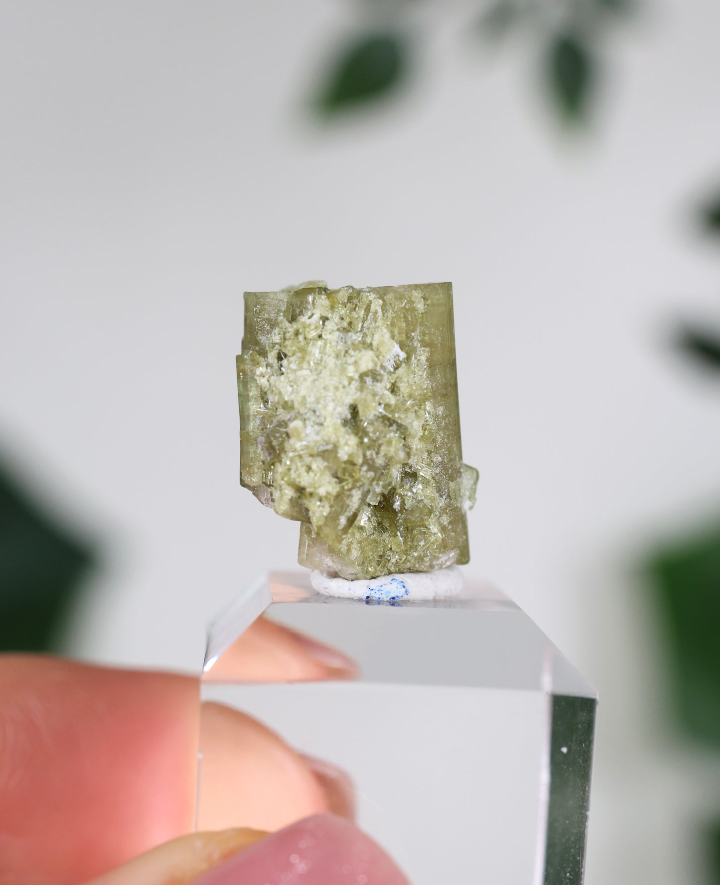 Grüner Turmalin XS - Auswahl