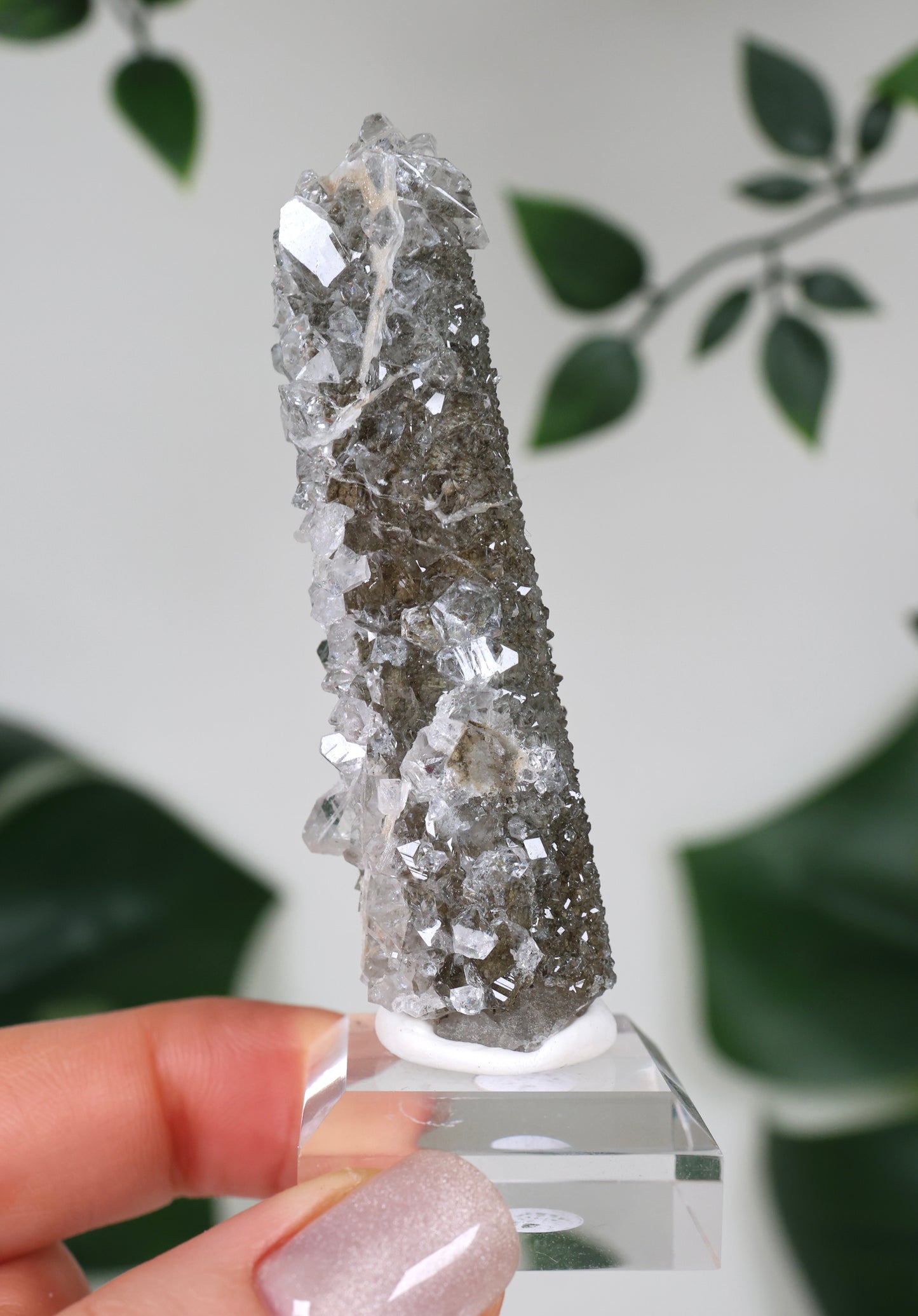 Apophyllit x Quarz x Chlorit Nr.110QA