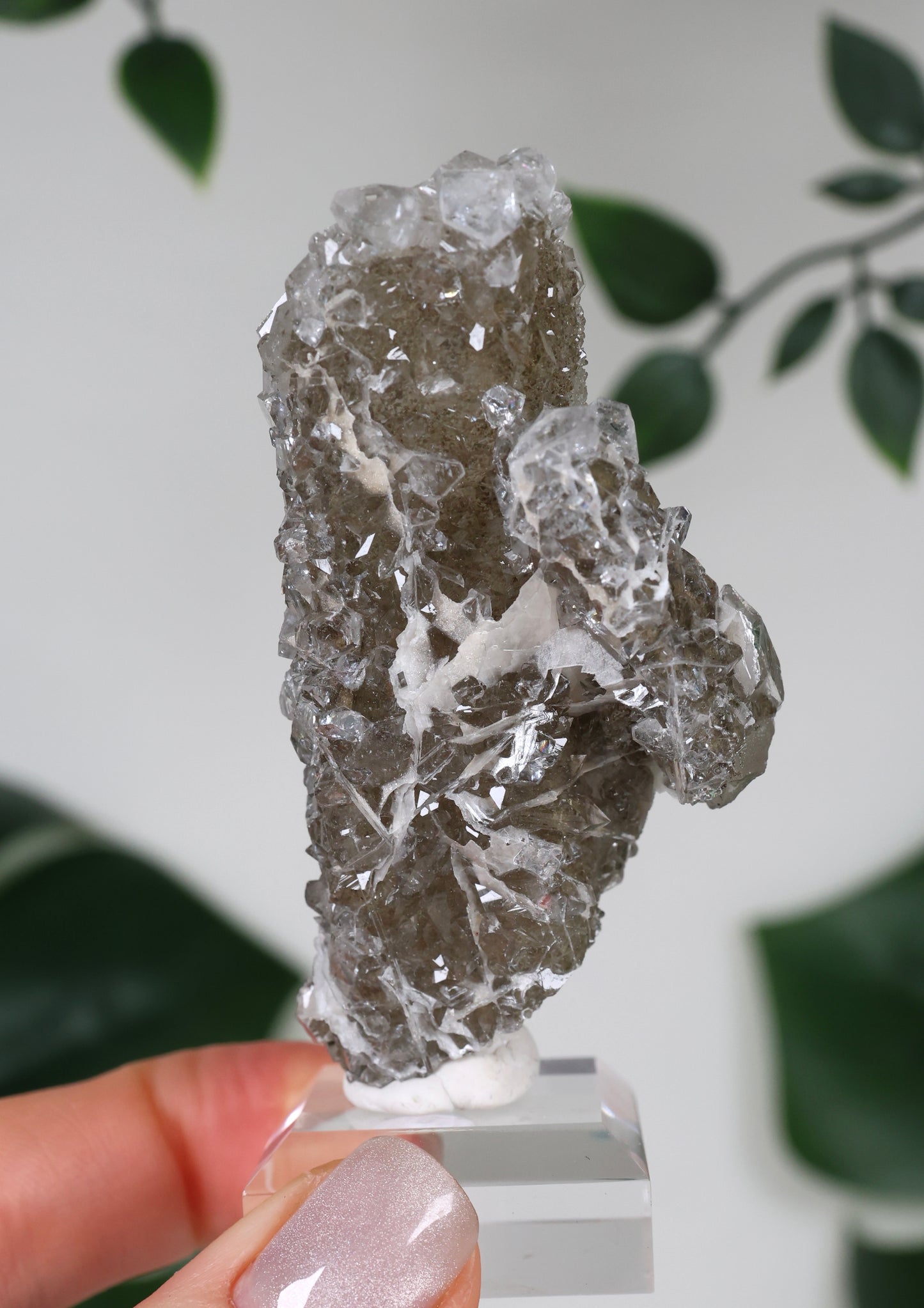 Apophyllit x Quarz x Chlorit Nr.129QA