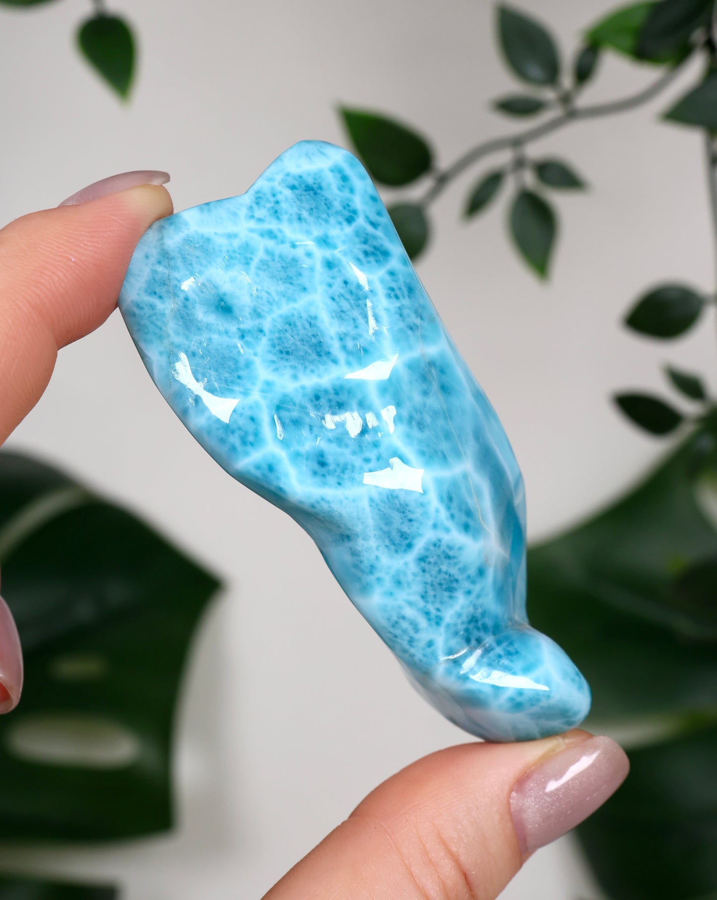 Larimar HQ Nr.499LA