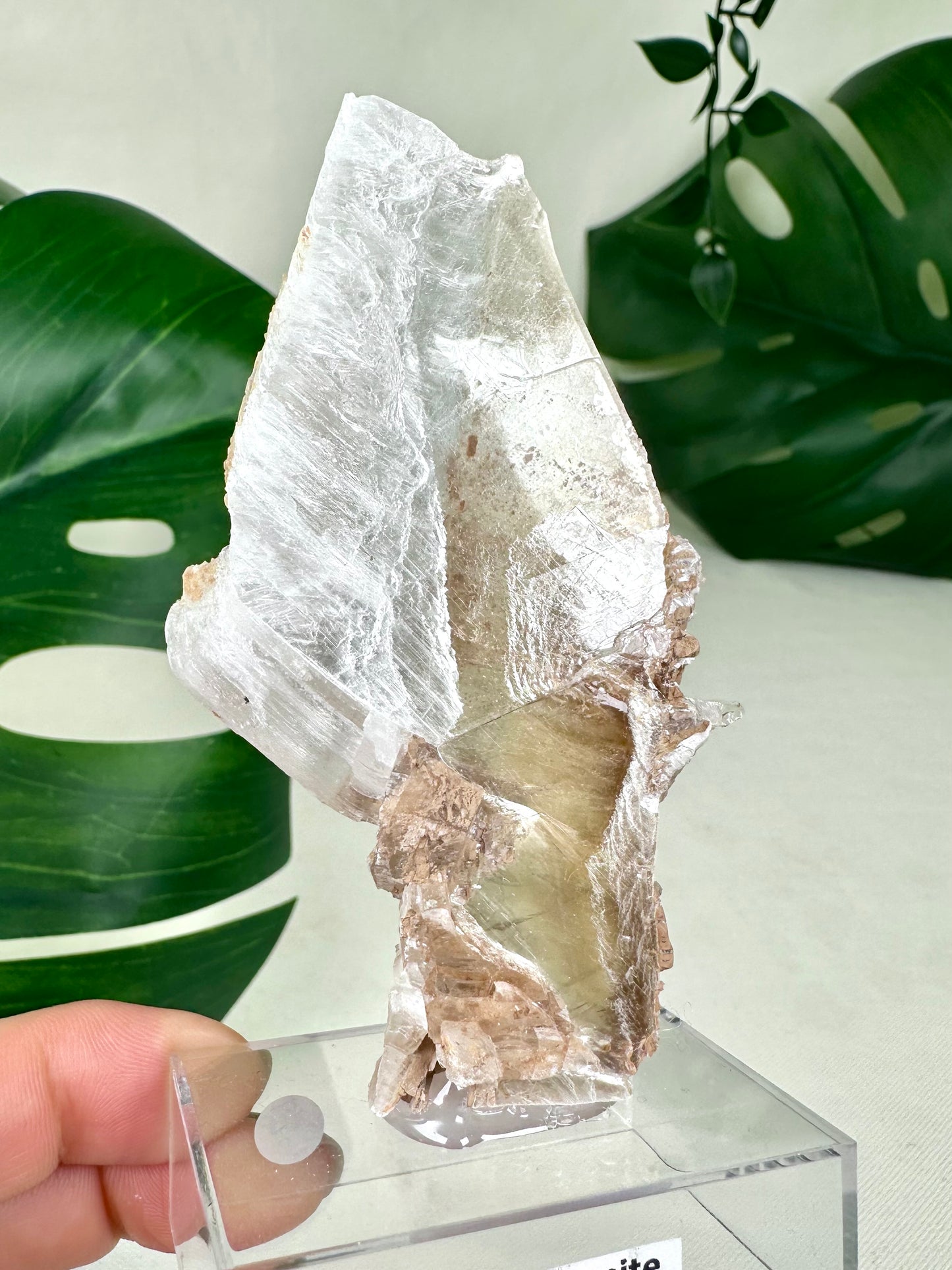 Bicolor Selenite No. 58BS