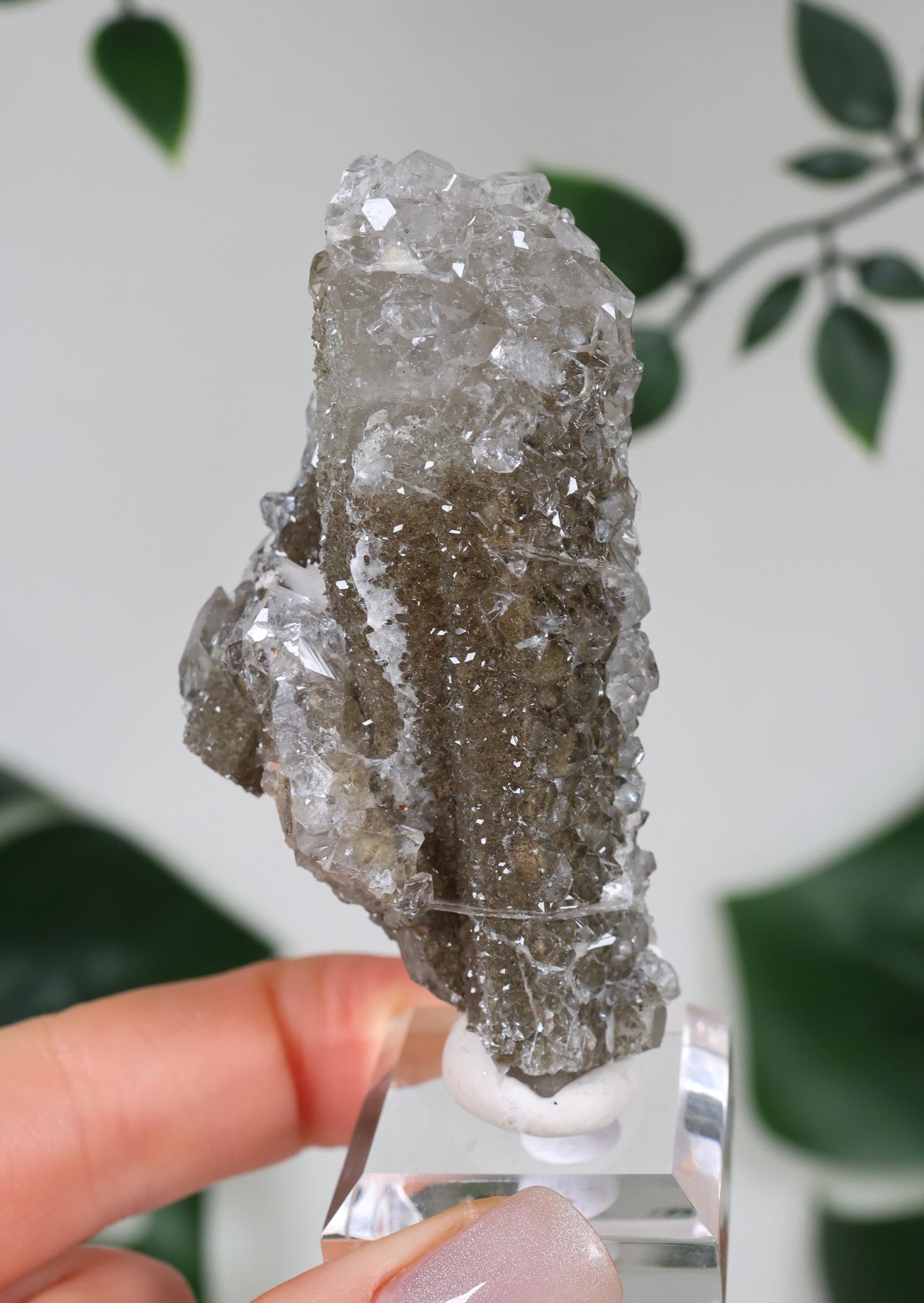Apophyllit x Quarz x Chlorit Nr.129QA