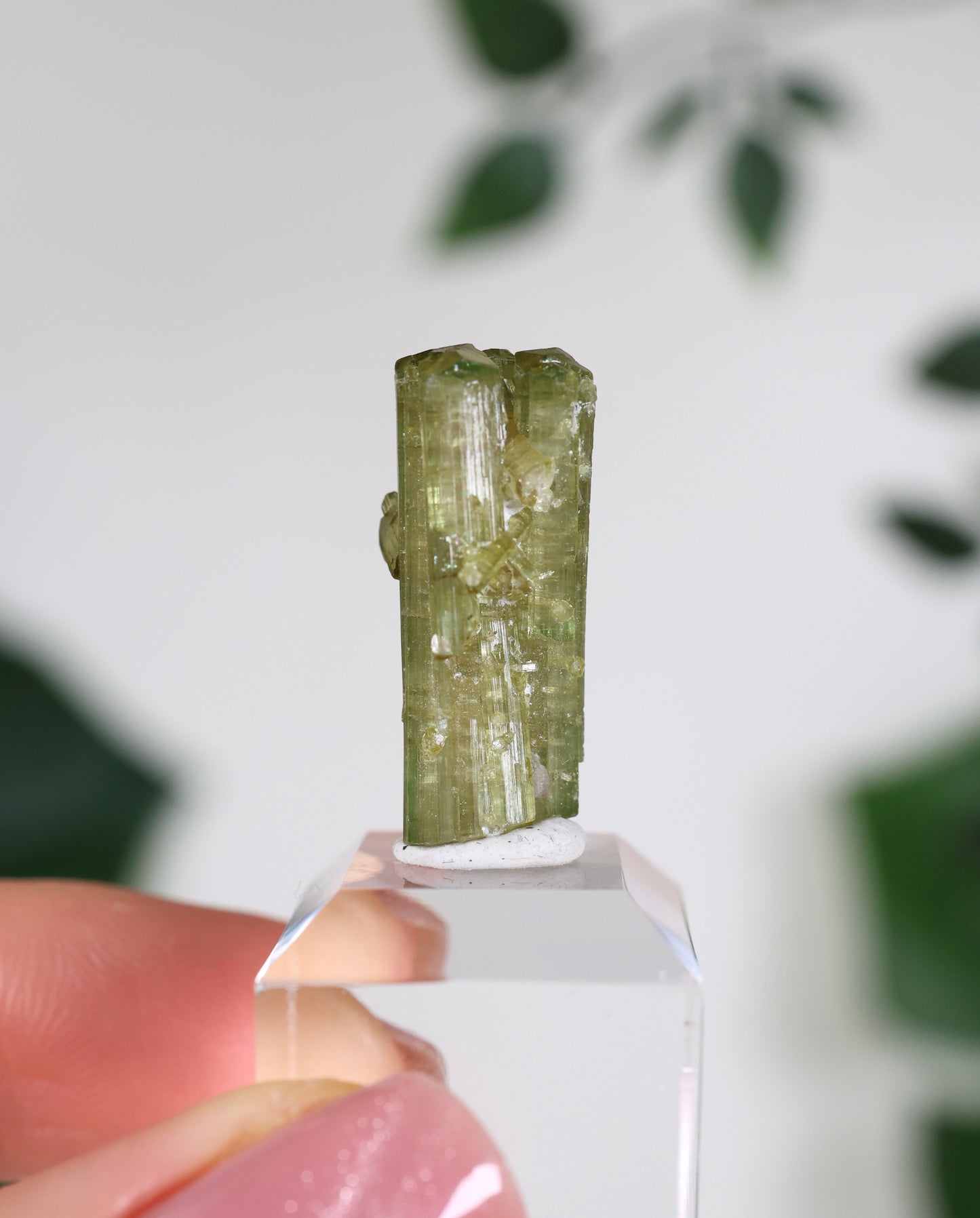 Grüner Turmalin S - Auswahl