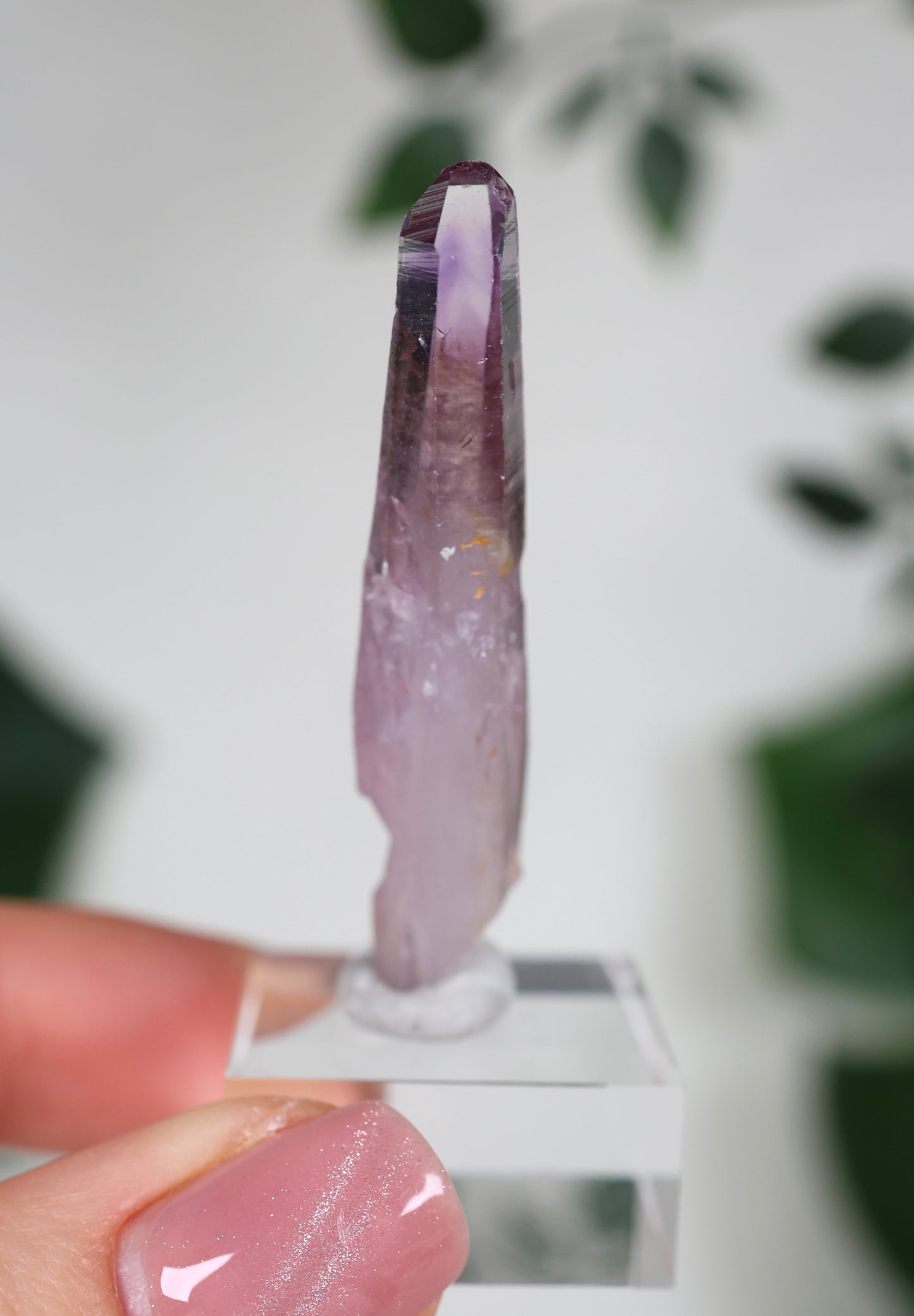 Guerrero Amethyst Oldstock S- Auswahl