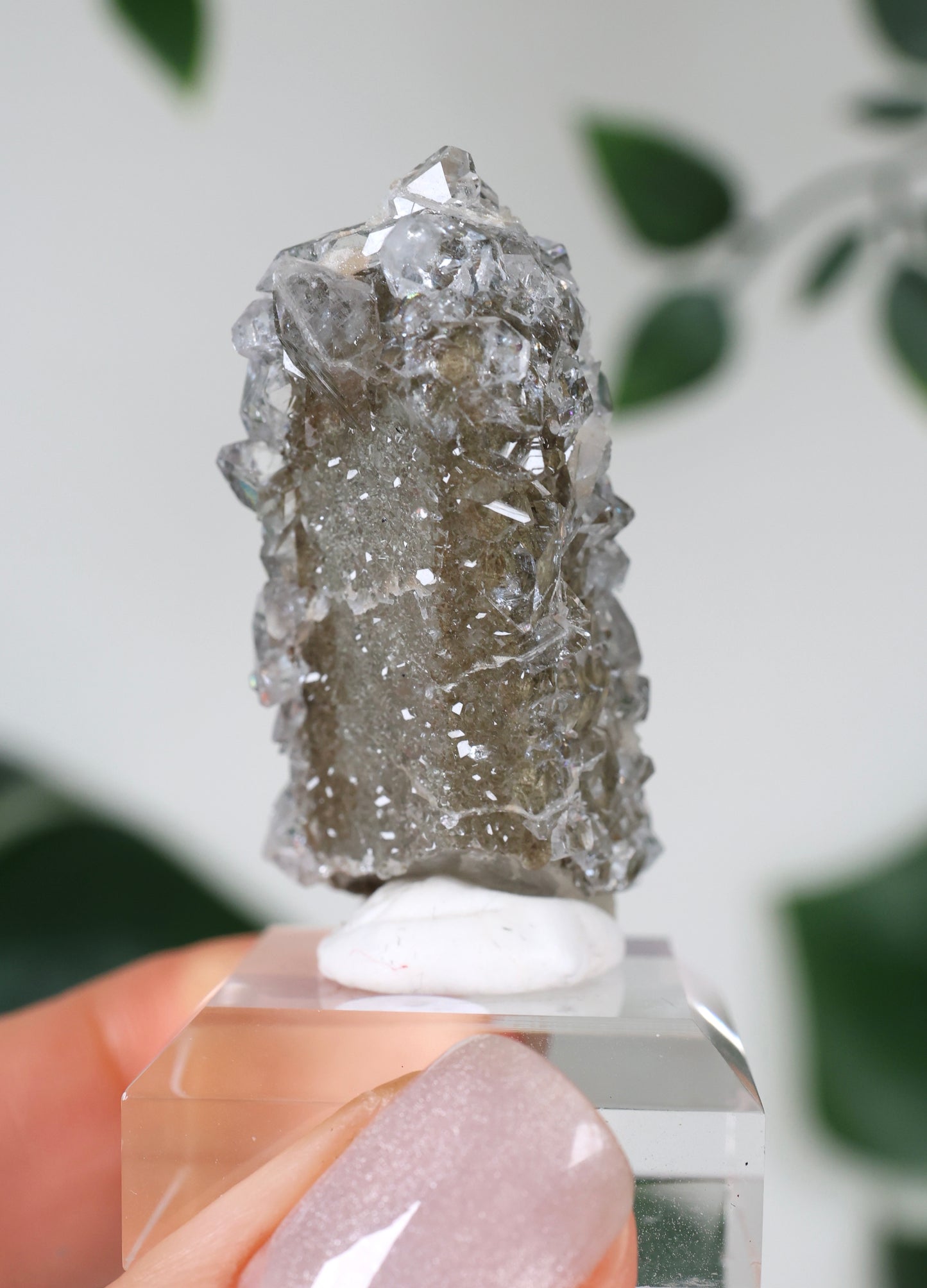 Apophyllit x Quarz x Chlorit Nr.70QP