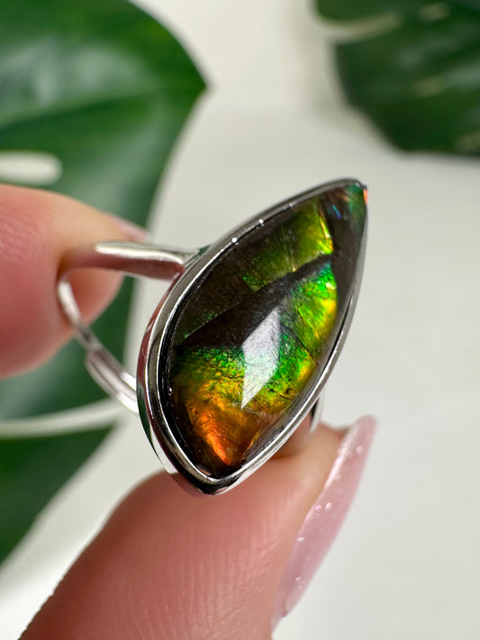 Ammolit Ring in 925 Silber Nr.115A2