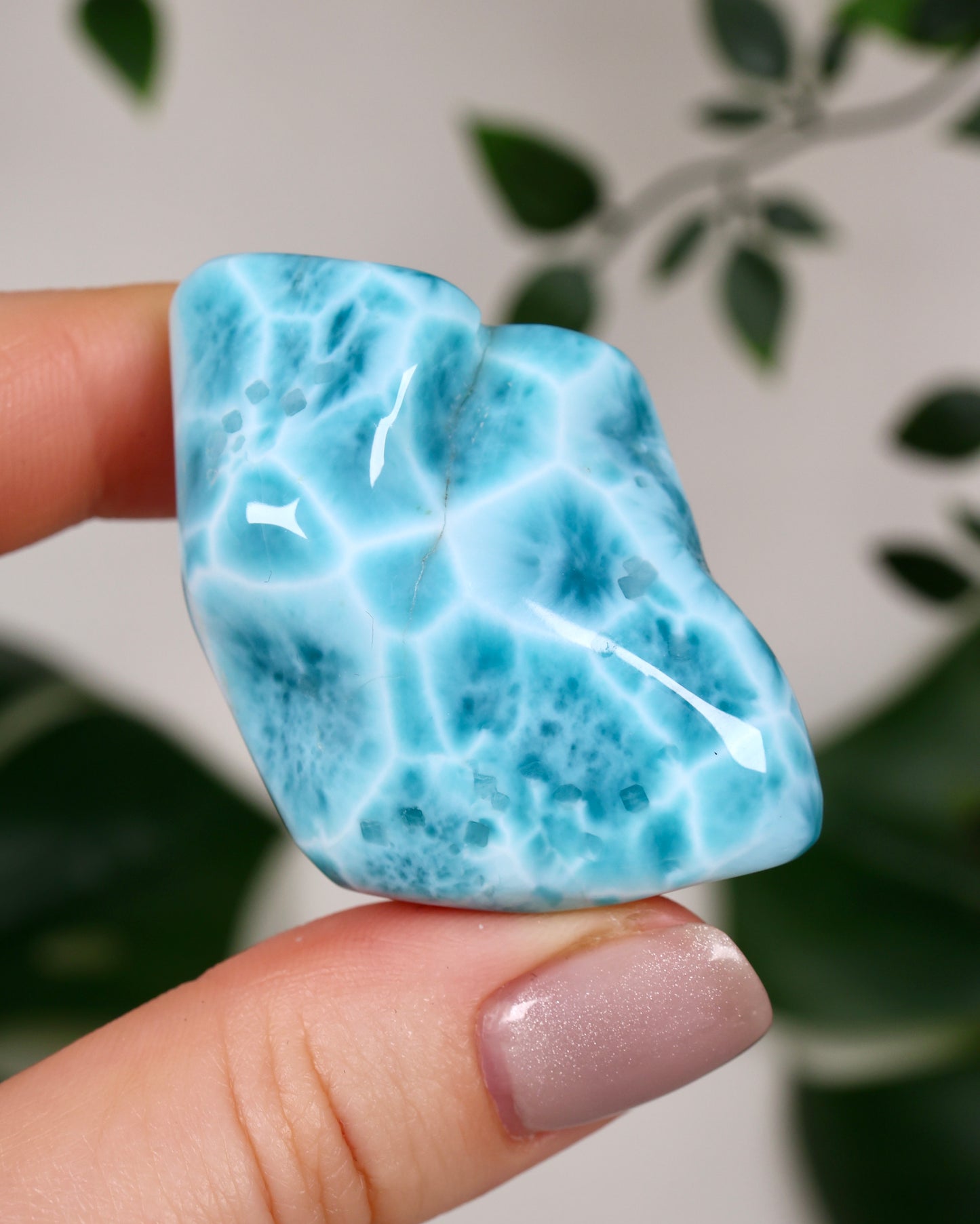 Larimar HQ Nr.383LA