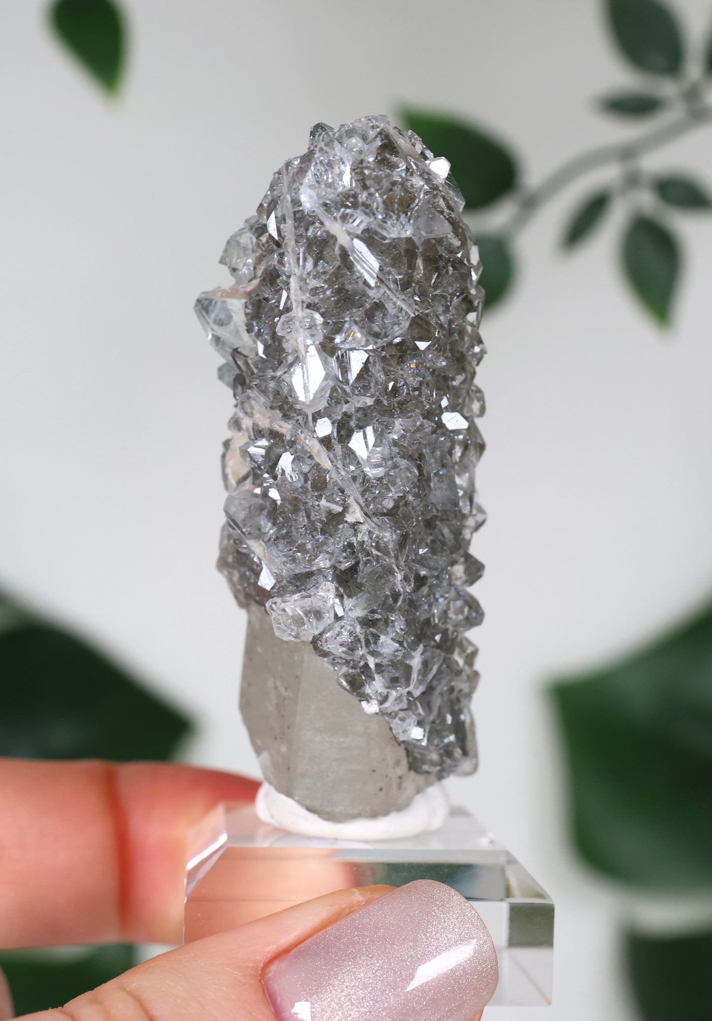 Apophyllit x Quarz x Chlorit Nr.118QA